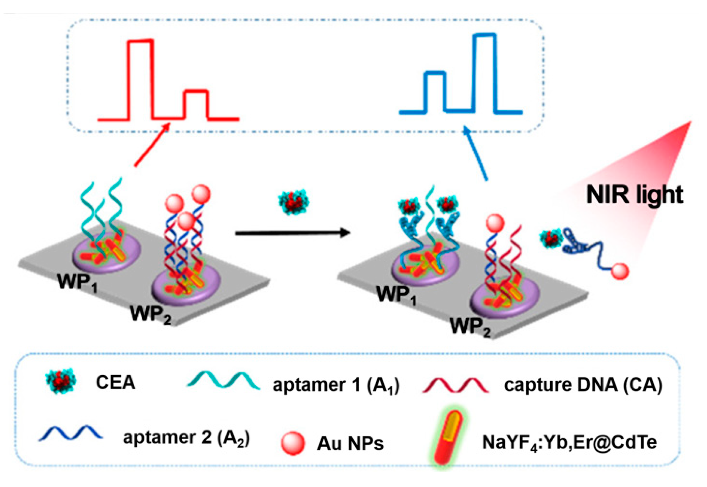 Sensors 21 07742 g012