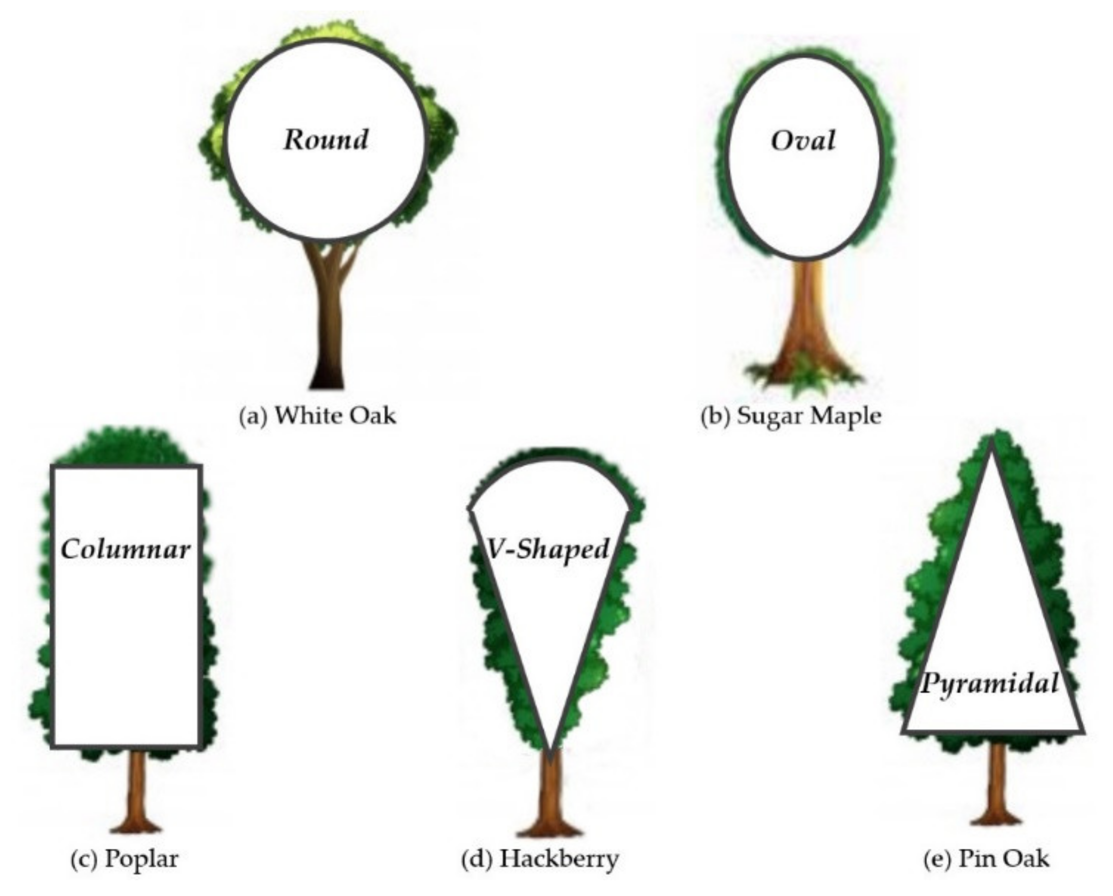 Sensors 21 07748 g001 550