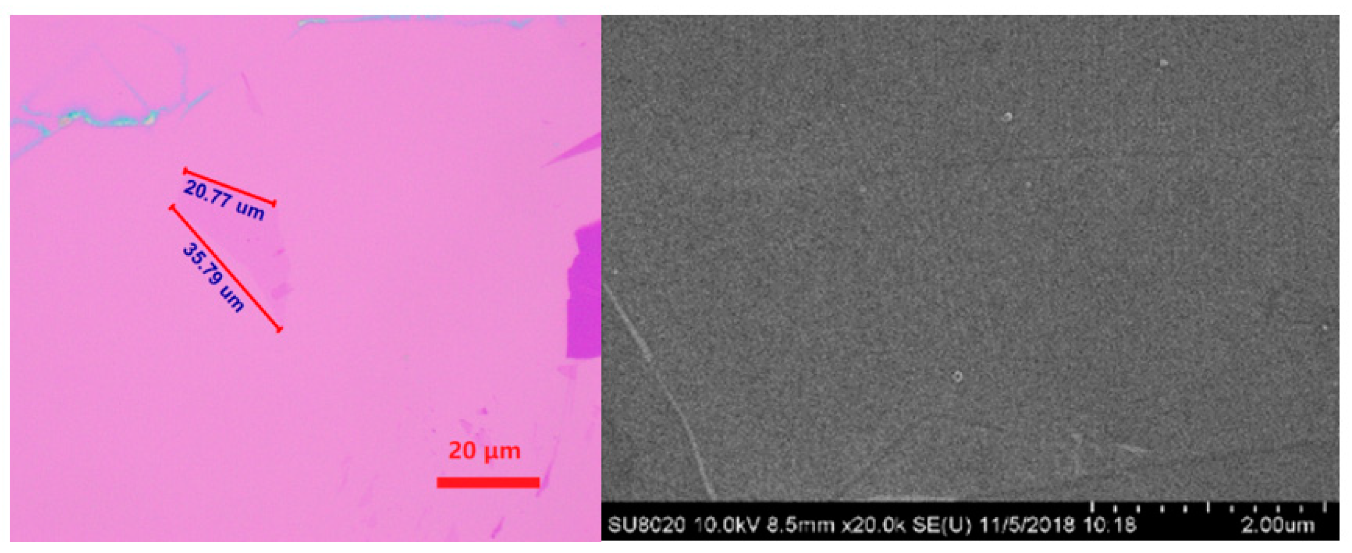 Sensors 21 07753 g005