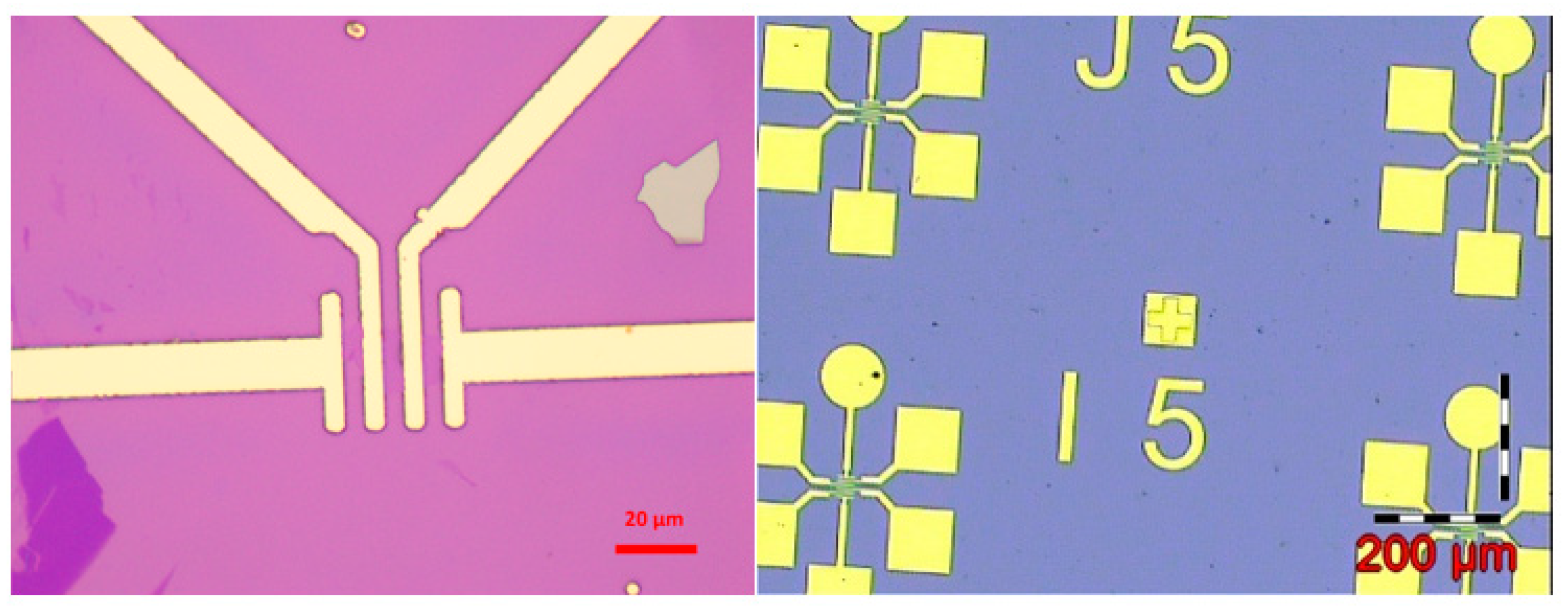Sensors 21 07753 g006