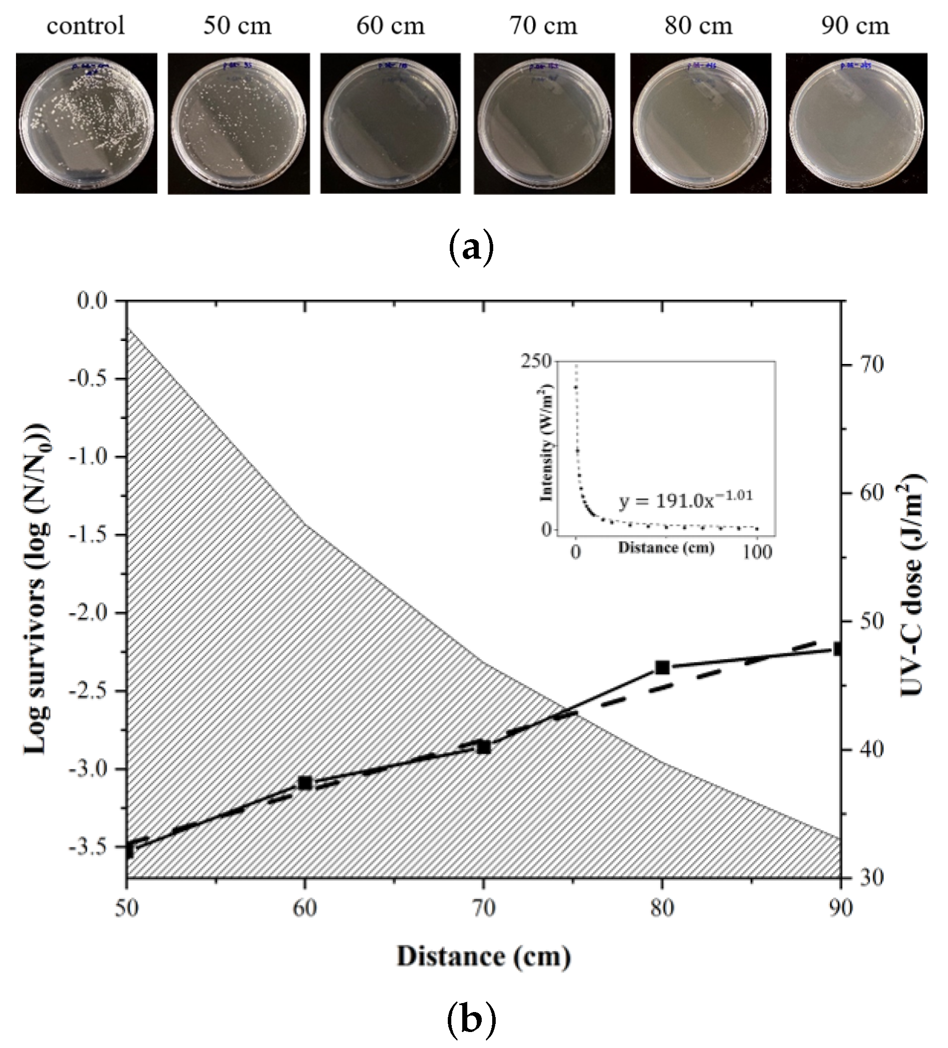 Sensors 21 07776 g007 550