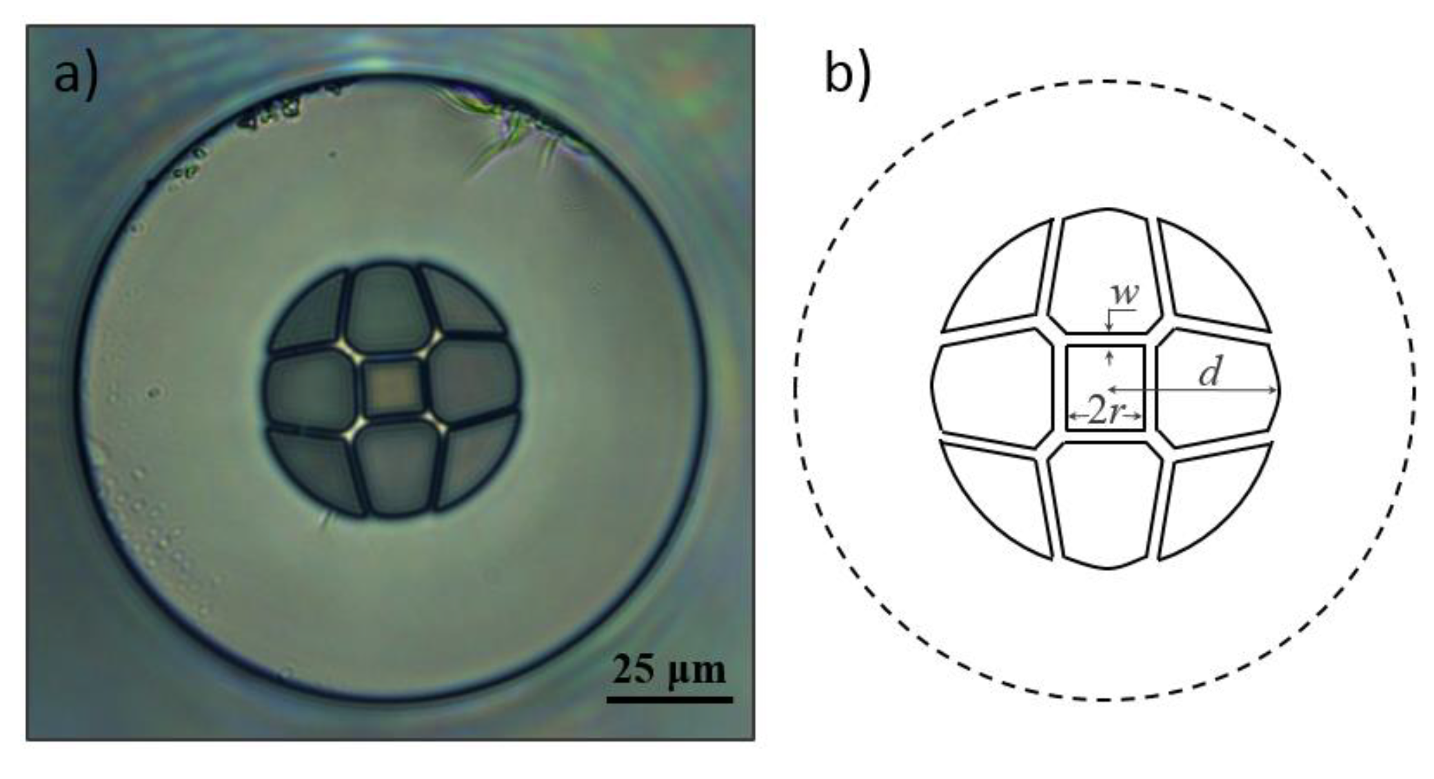 Sensors 21 07778 g001