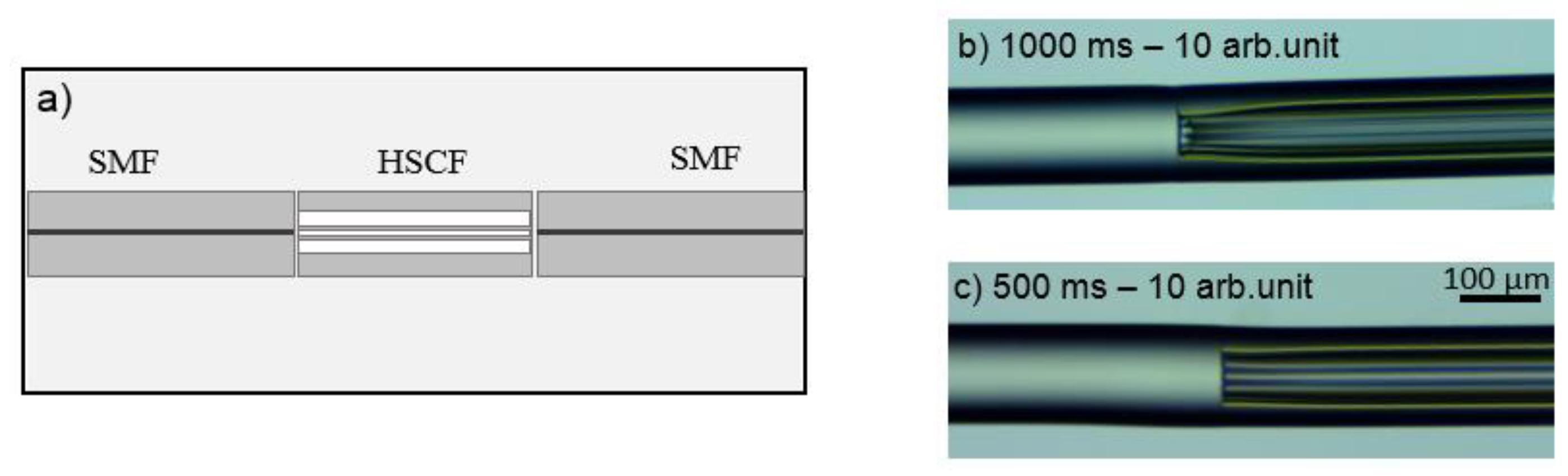 Sensors 21 07778 g005