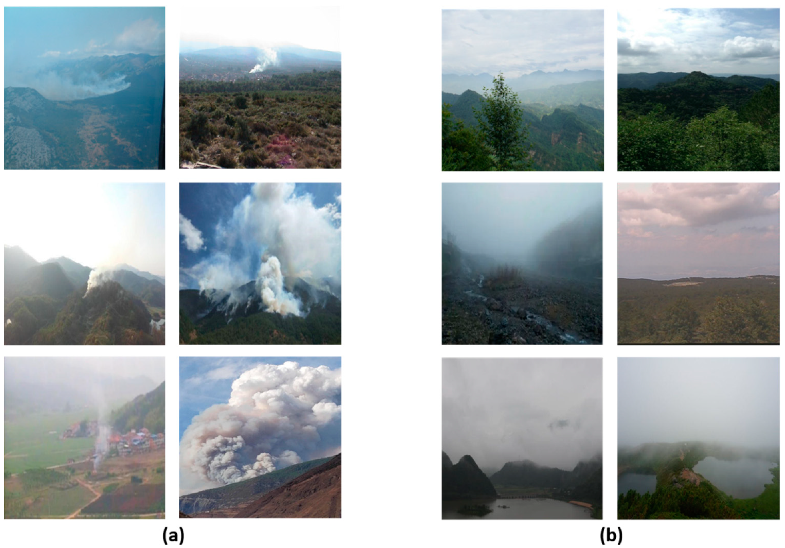 Sensors 21 07785 g011