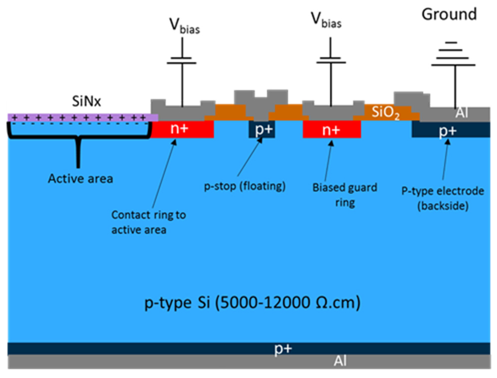 Sensors 21 07807 g001 Sensors 21 07807 g001