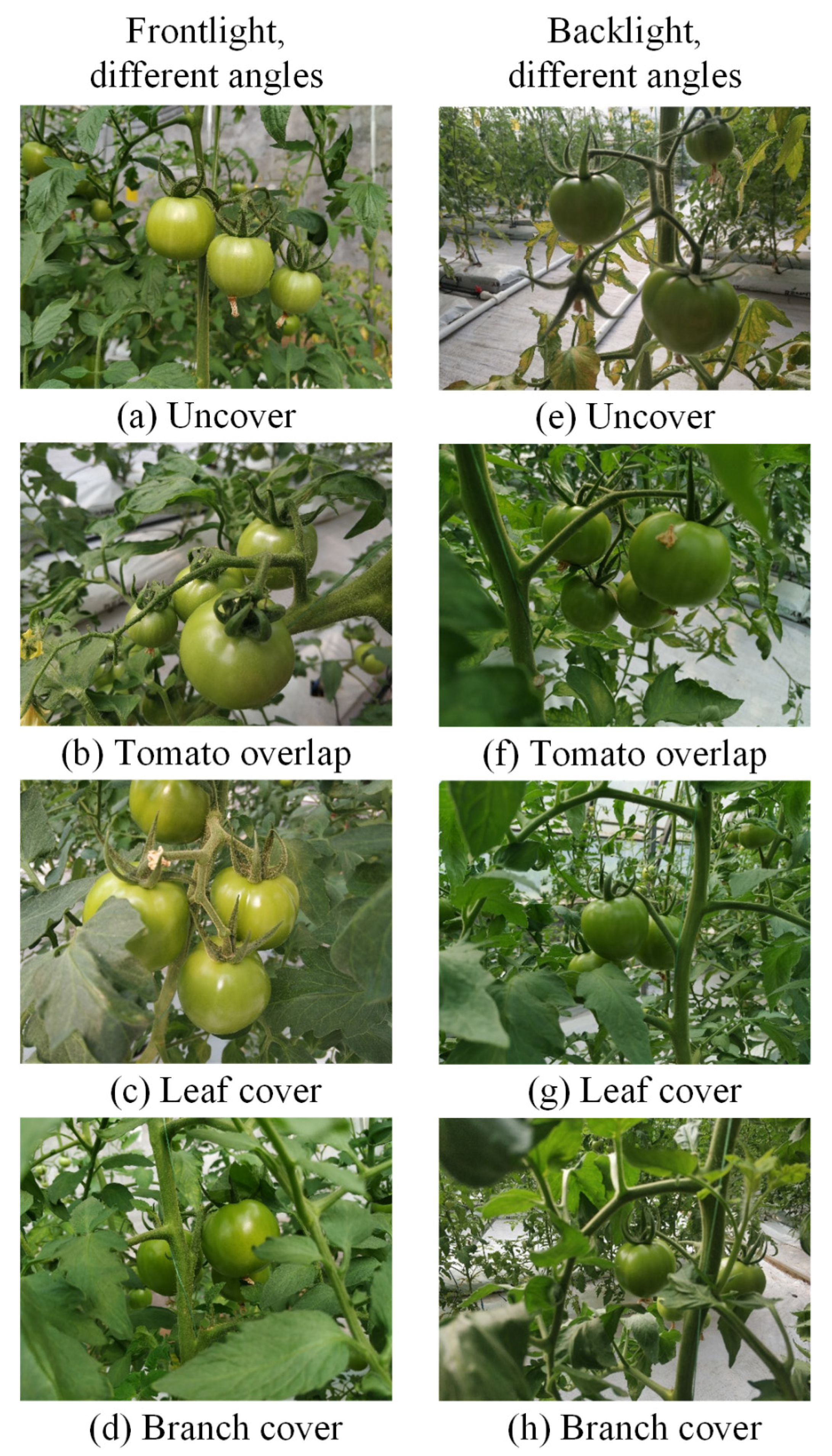 Sensors 21 07842 g003