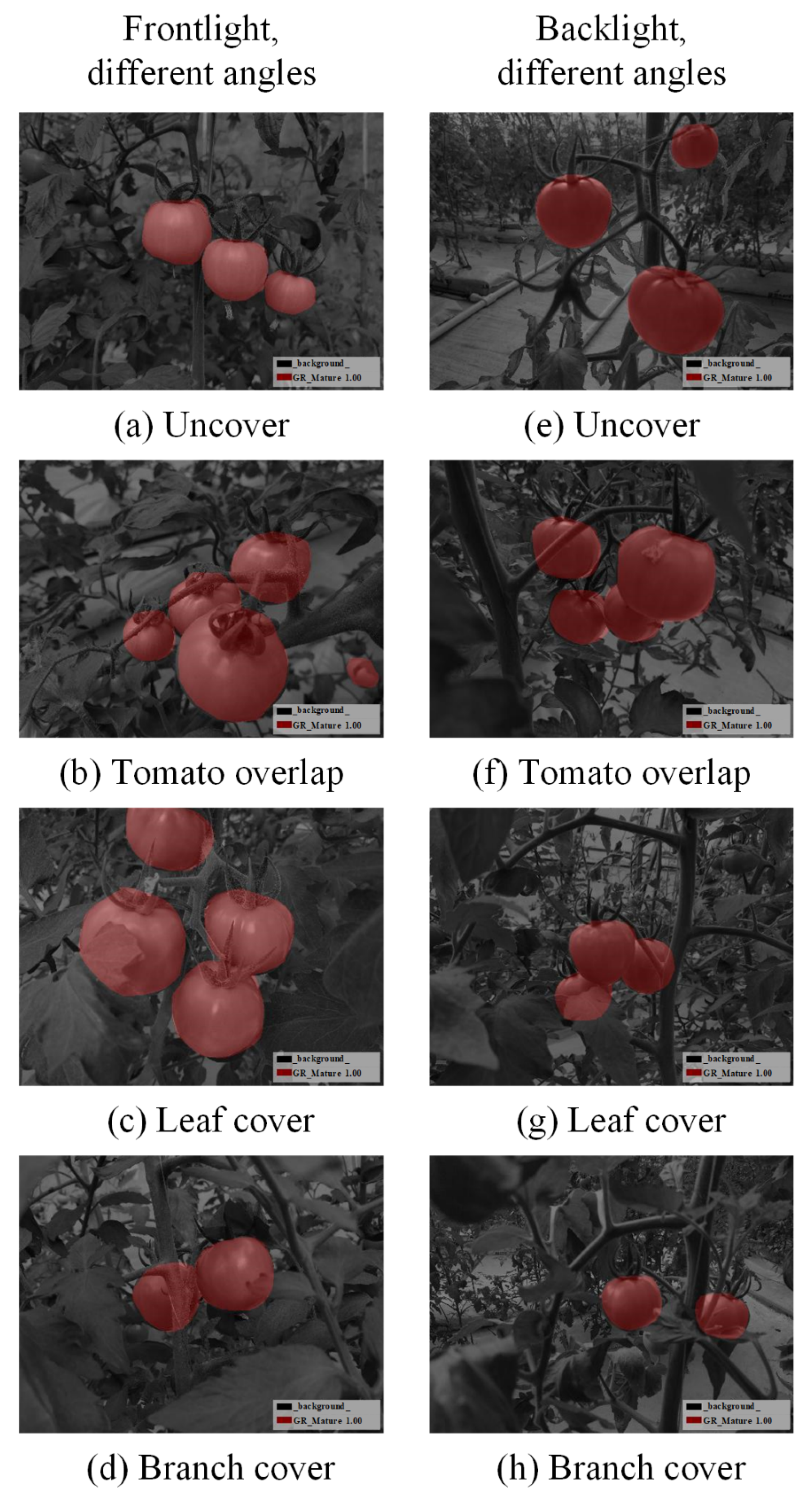 Sensors 21 07842 g004