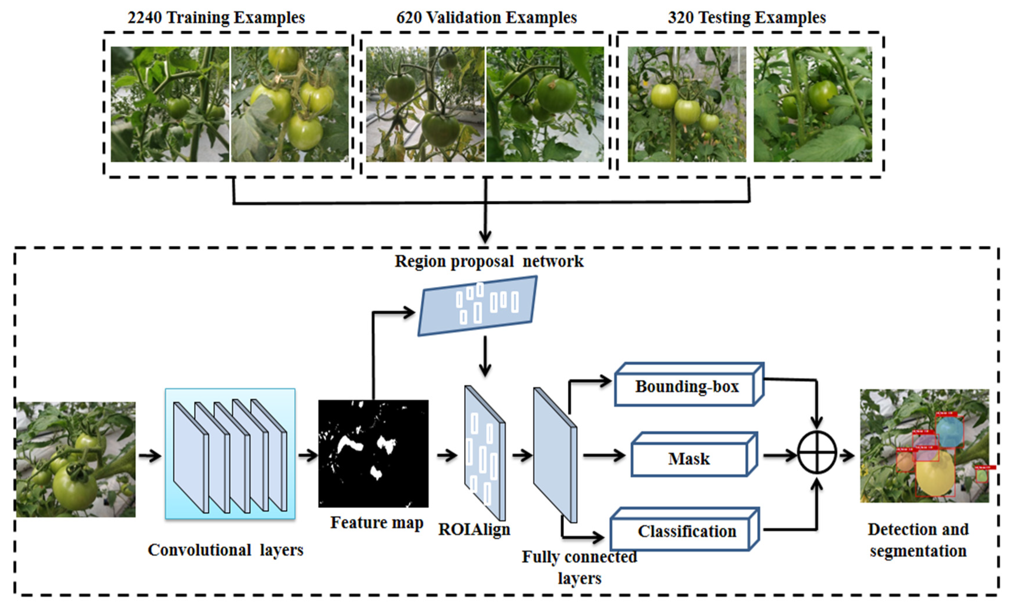 Sensors 21 07842 g005
