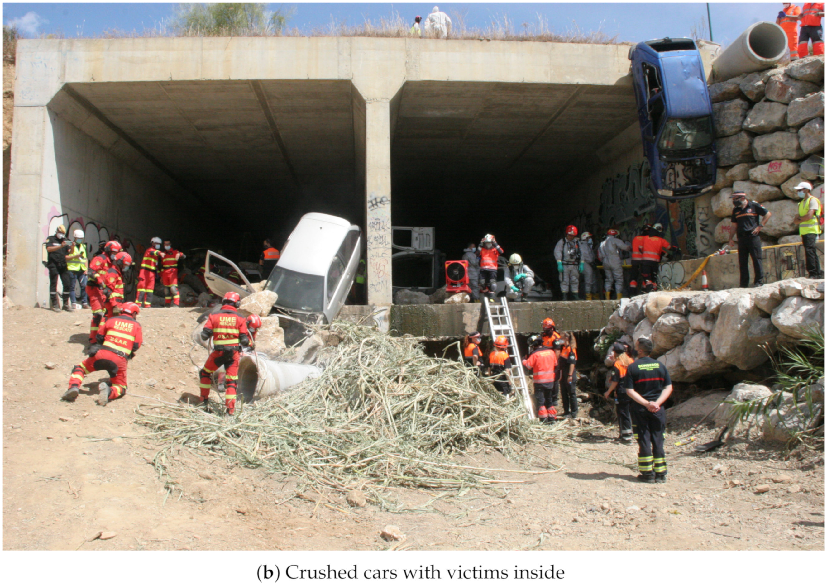 Sensors 21 07843 g008b 550