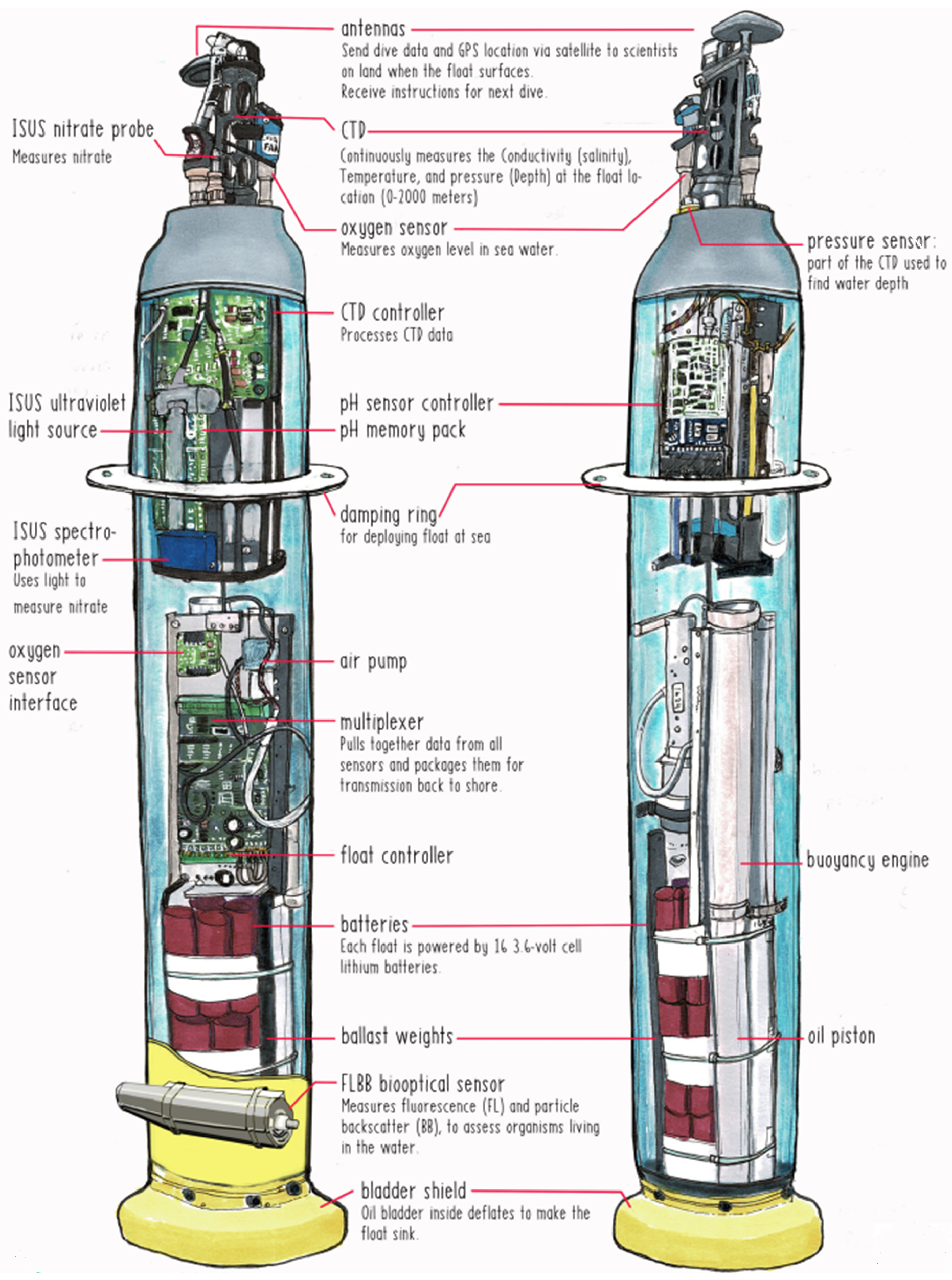 Sensors Free Full Text Review Of Underwater Sensing Technologies And Applications Html