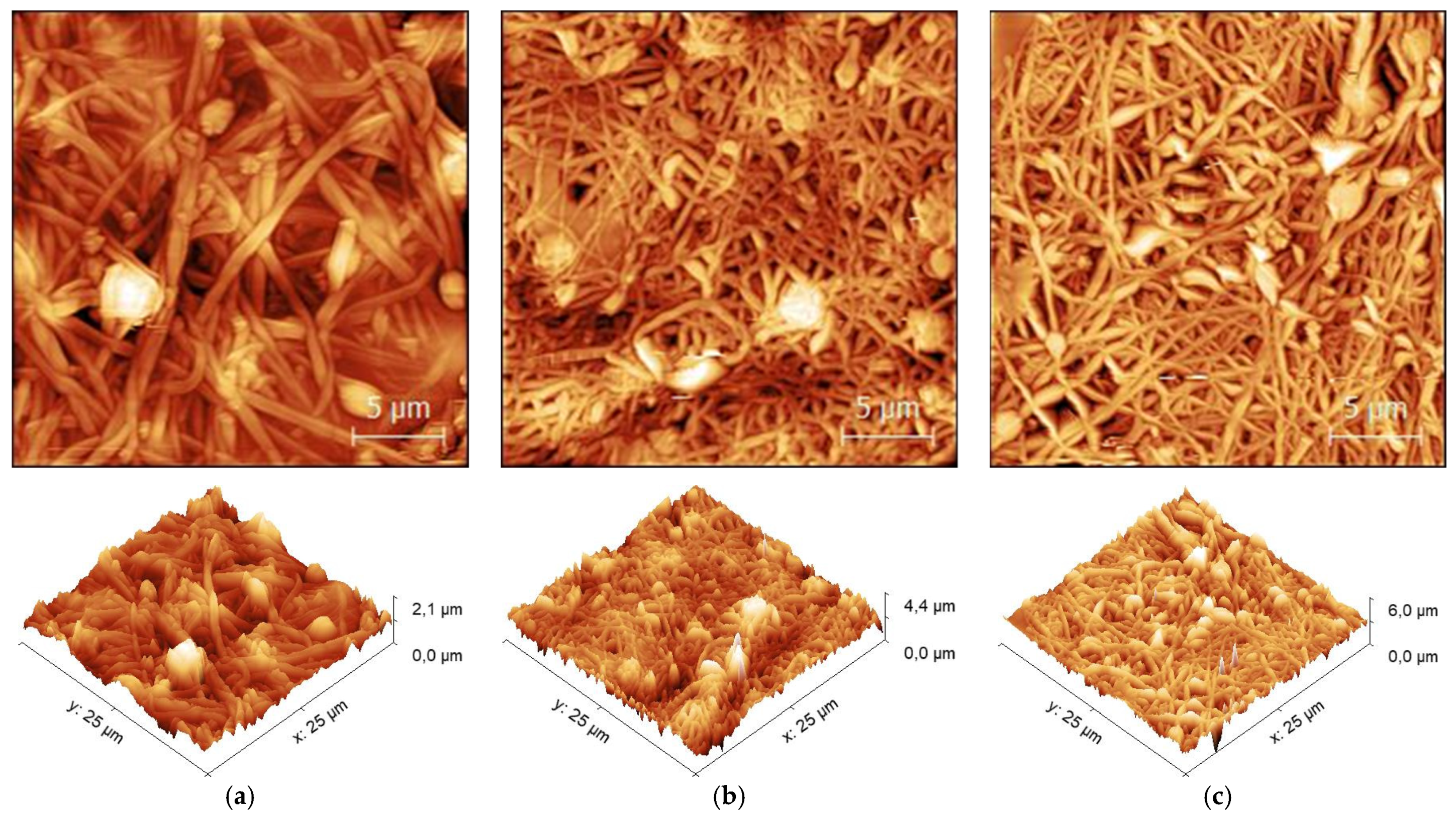 Sensors 21 07873 g004