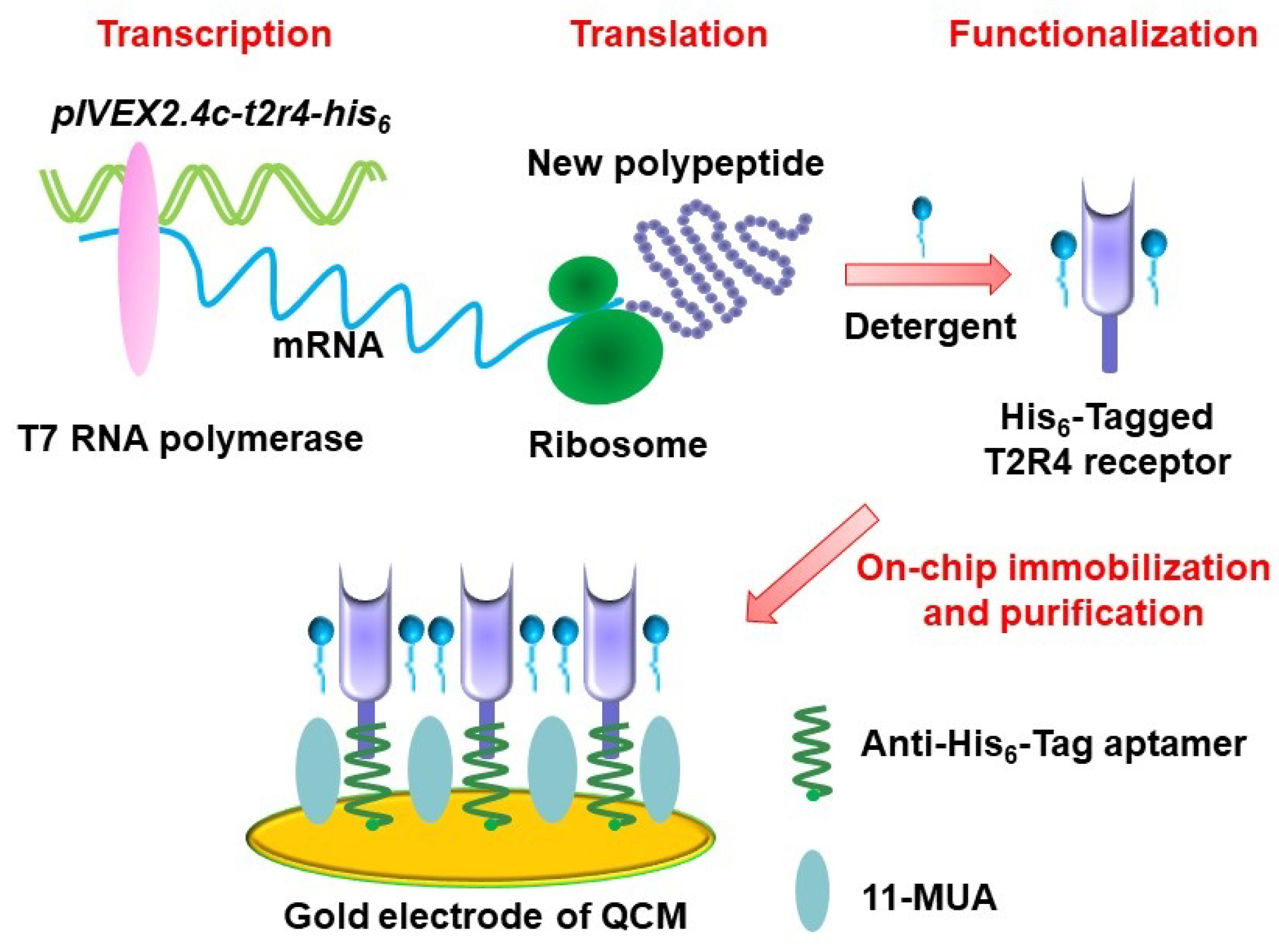 Sensors 21 07874 g002 Sensors 21 07874 g002