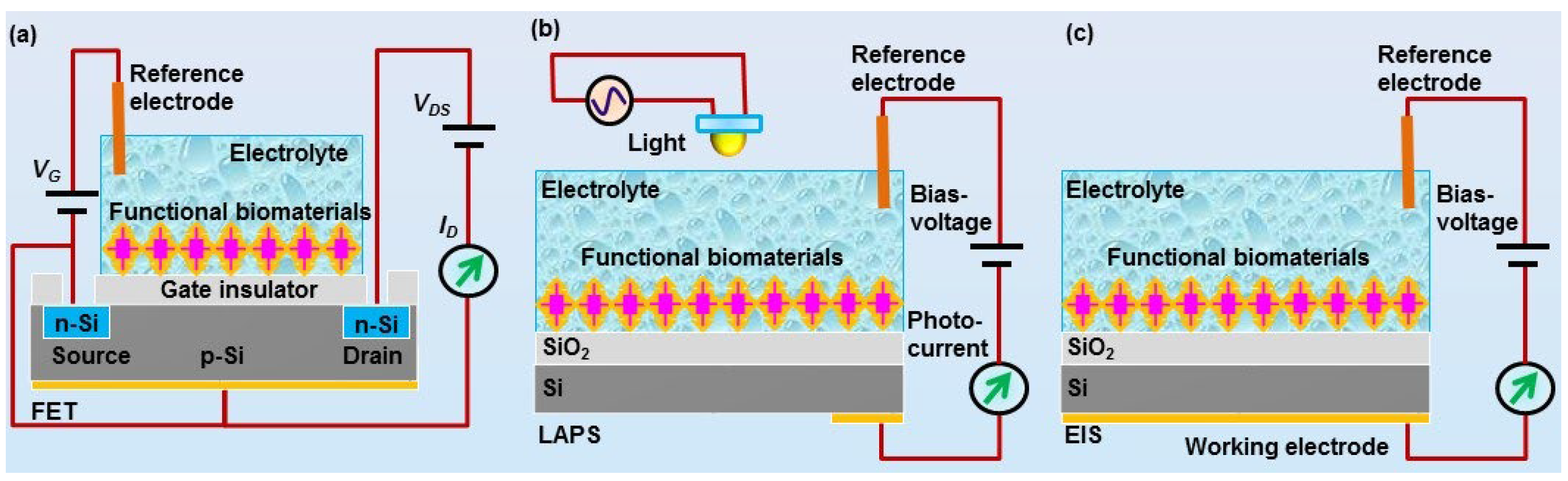 Sensors Free FullText FieldEffect Sensors Using Biomaterials for