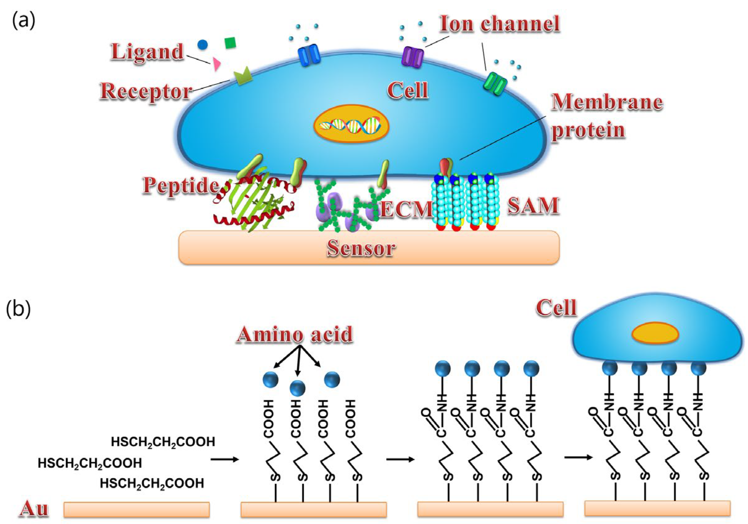 Sensors 21 07874 g004 Sensors 21 07874 g004