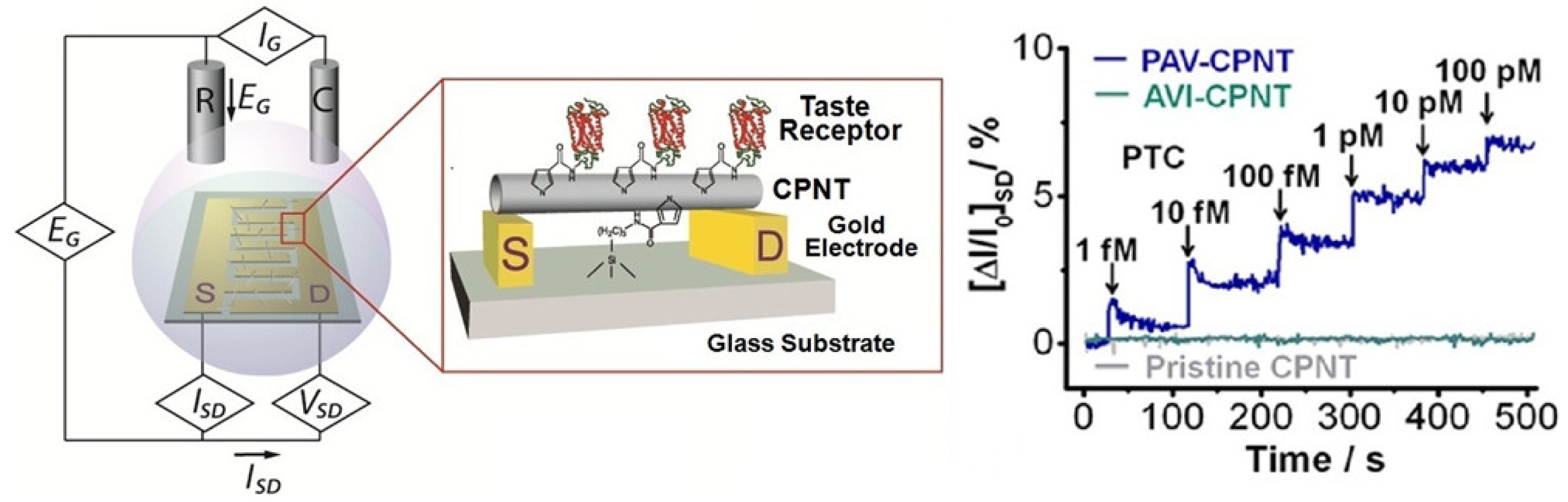 Sensors Free FullText FieldEffect Sensors Using Biomaterials for