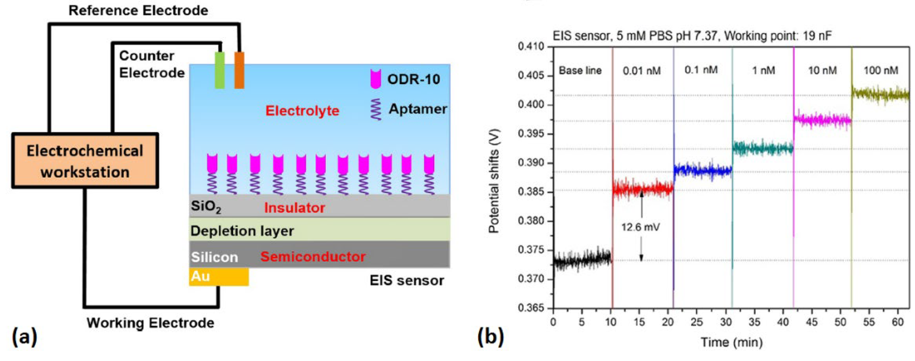 Sensors Free FullText FieldEffect Sensors Using Biomaterials for