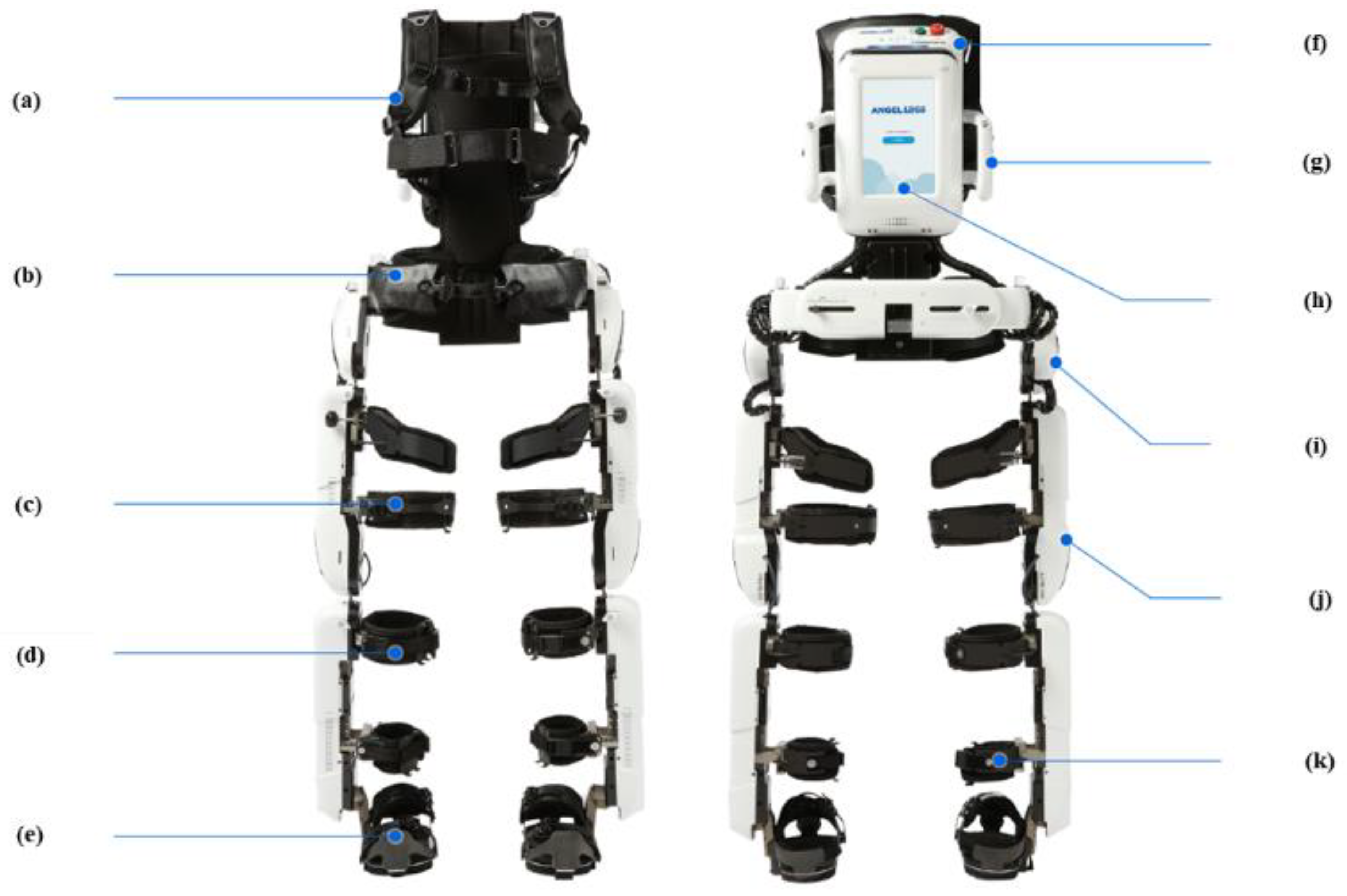 おうちトレーニング　FOOT BRAIN ACTIVATION おうちトレーニング FOOT BRAIN ACTIVATION おうちトレーニング