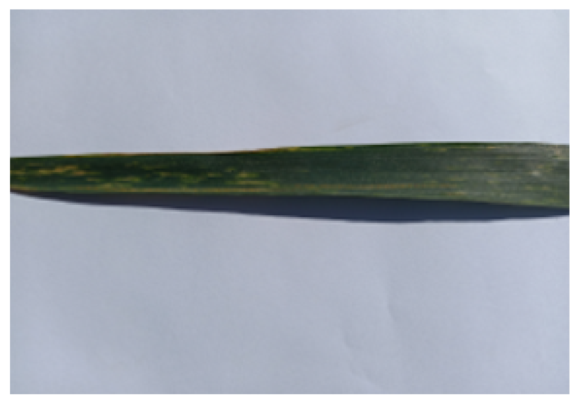 Sensors 21 07903 g002 550