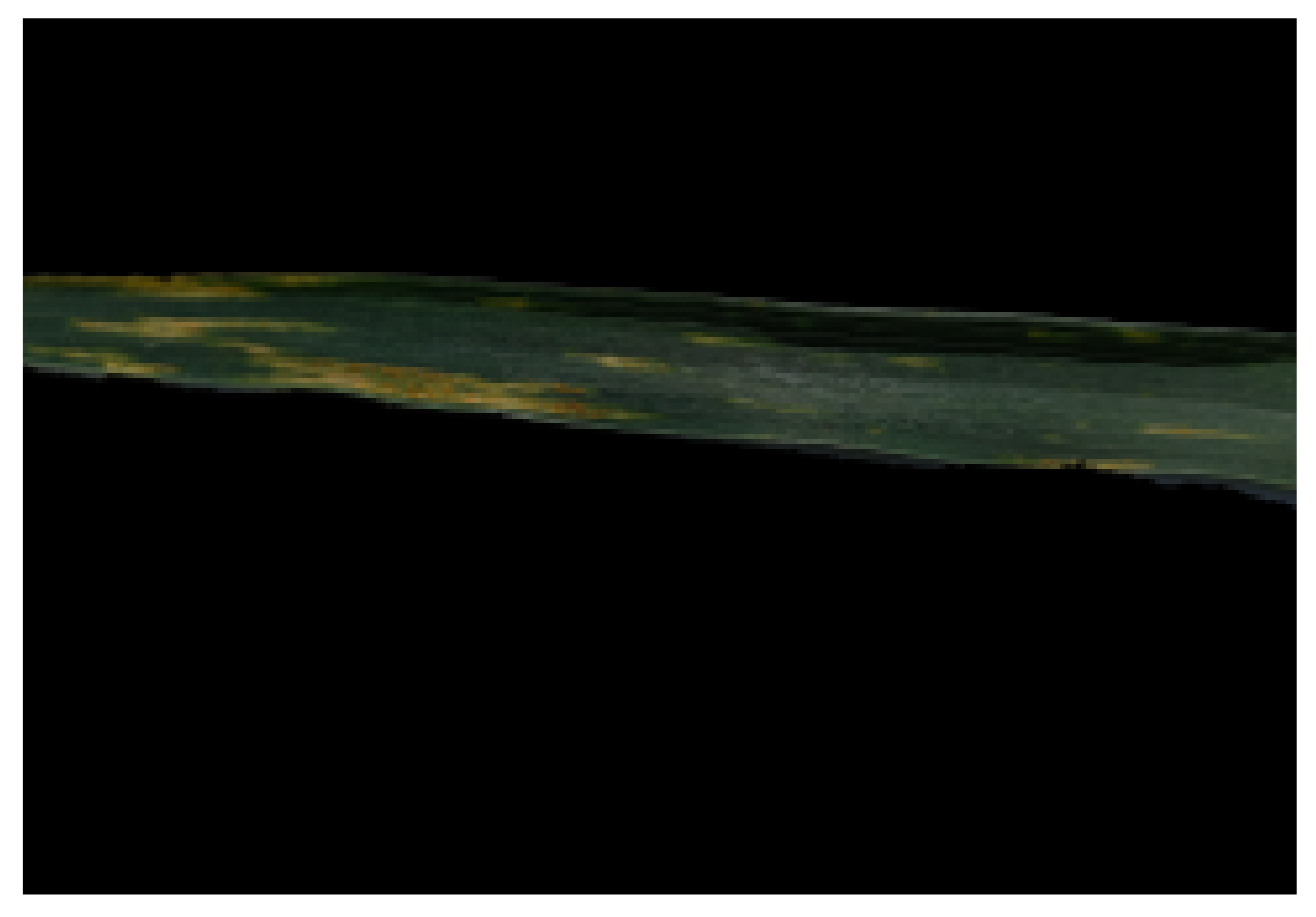 Sensors 21 07903 g003 550