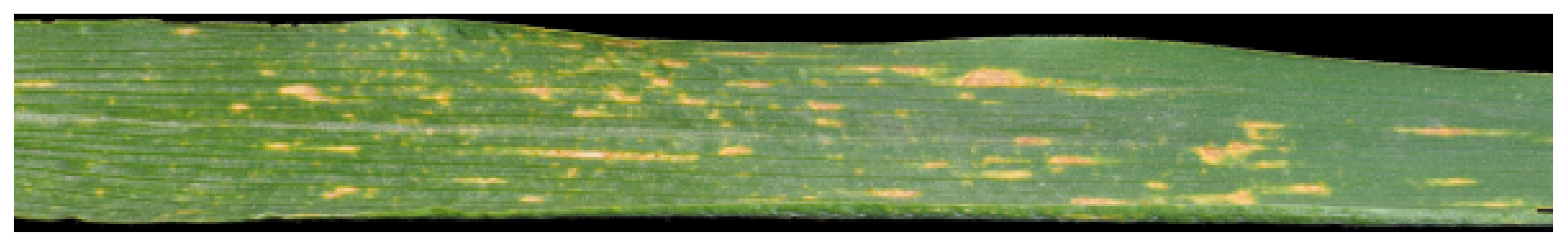 Sensors 21 07903 g005 550