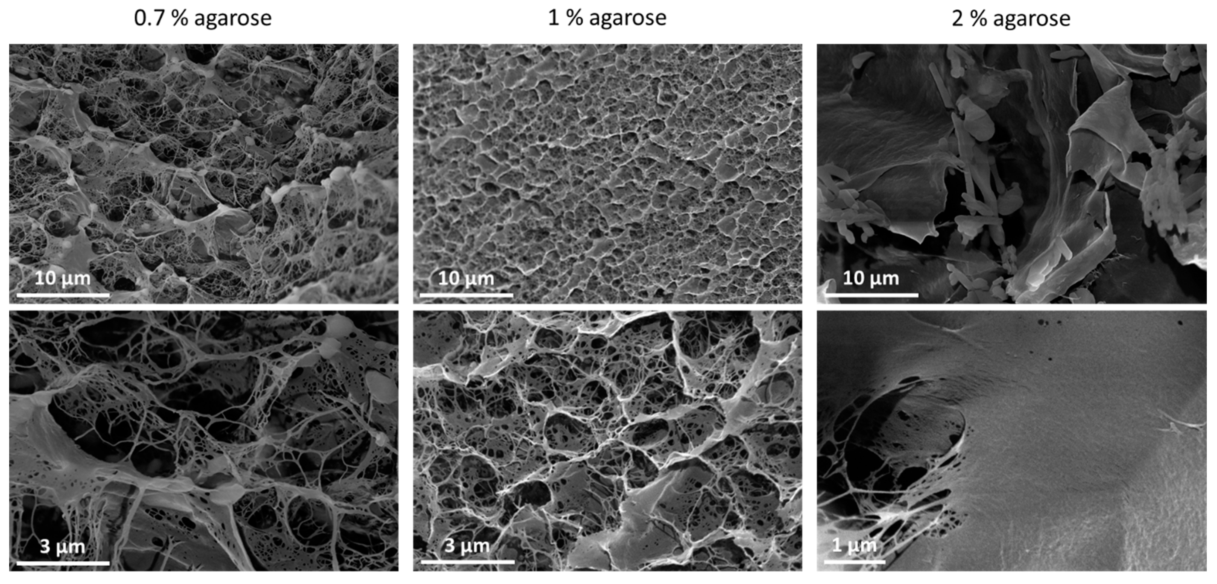 Sensors 21 07905 g002 550