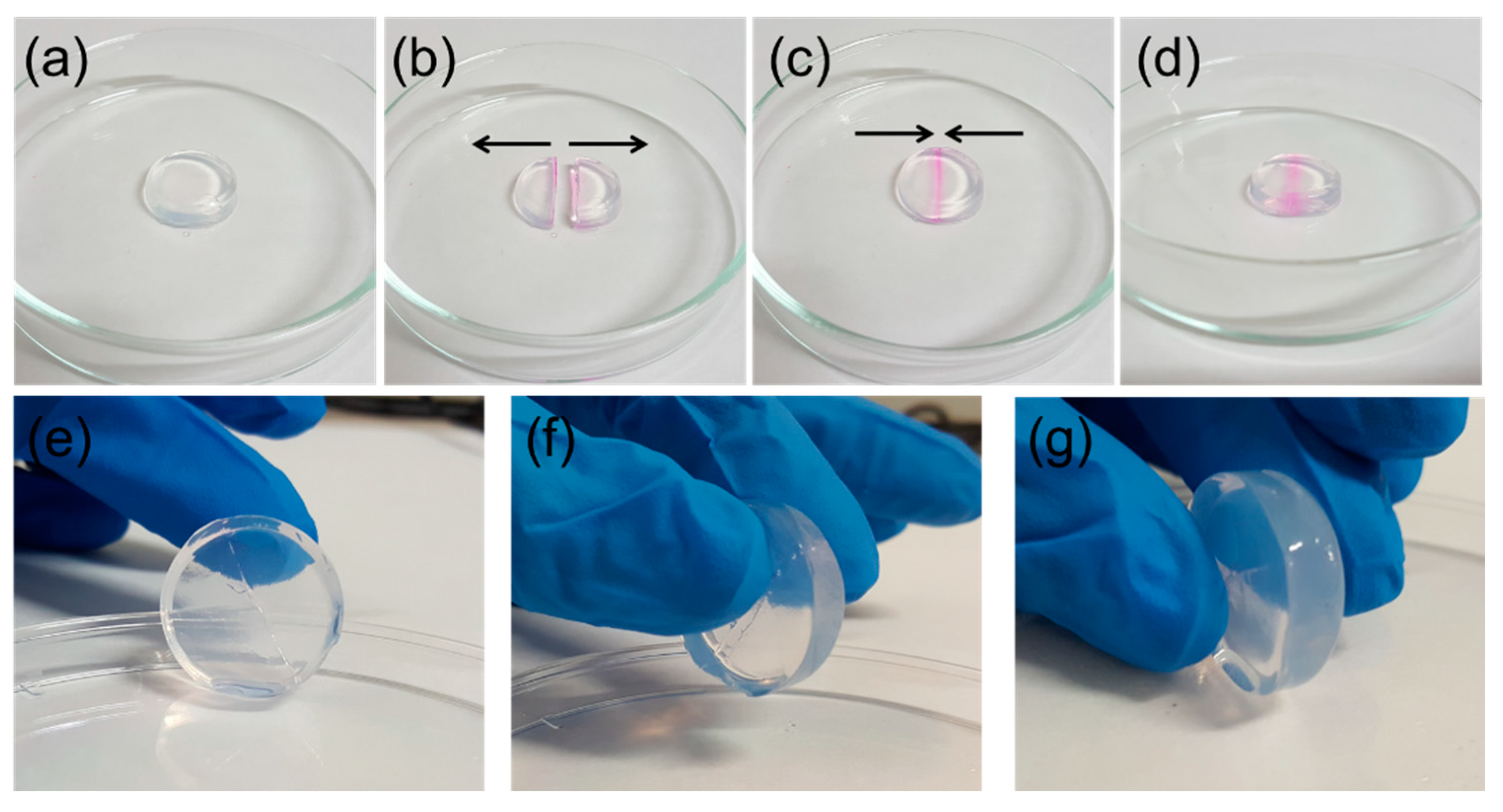 Sensors 21 07905 g003 550