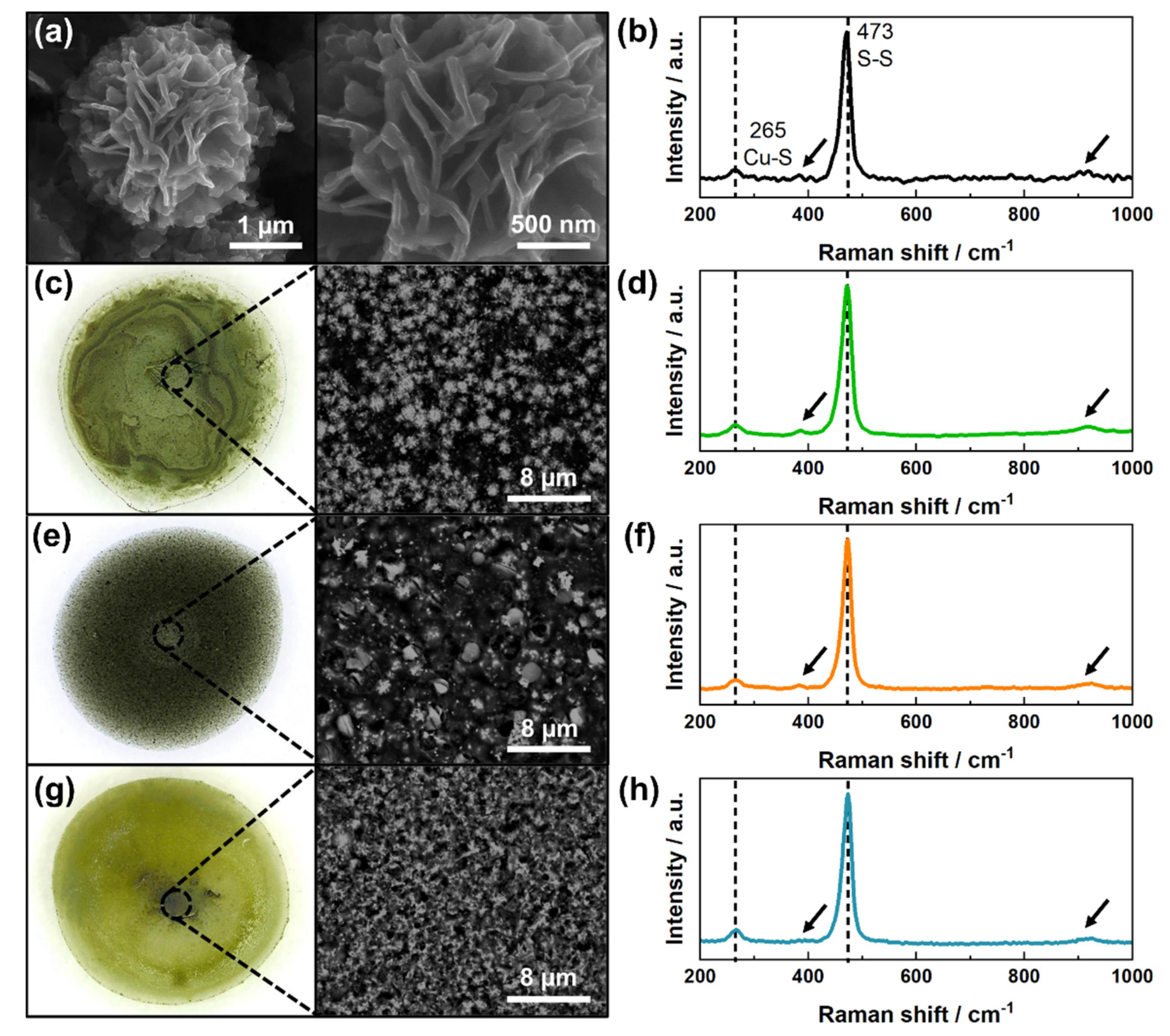 Sensors 21 07928 g001 550