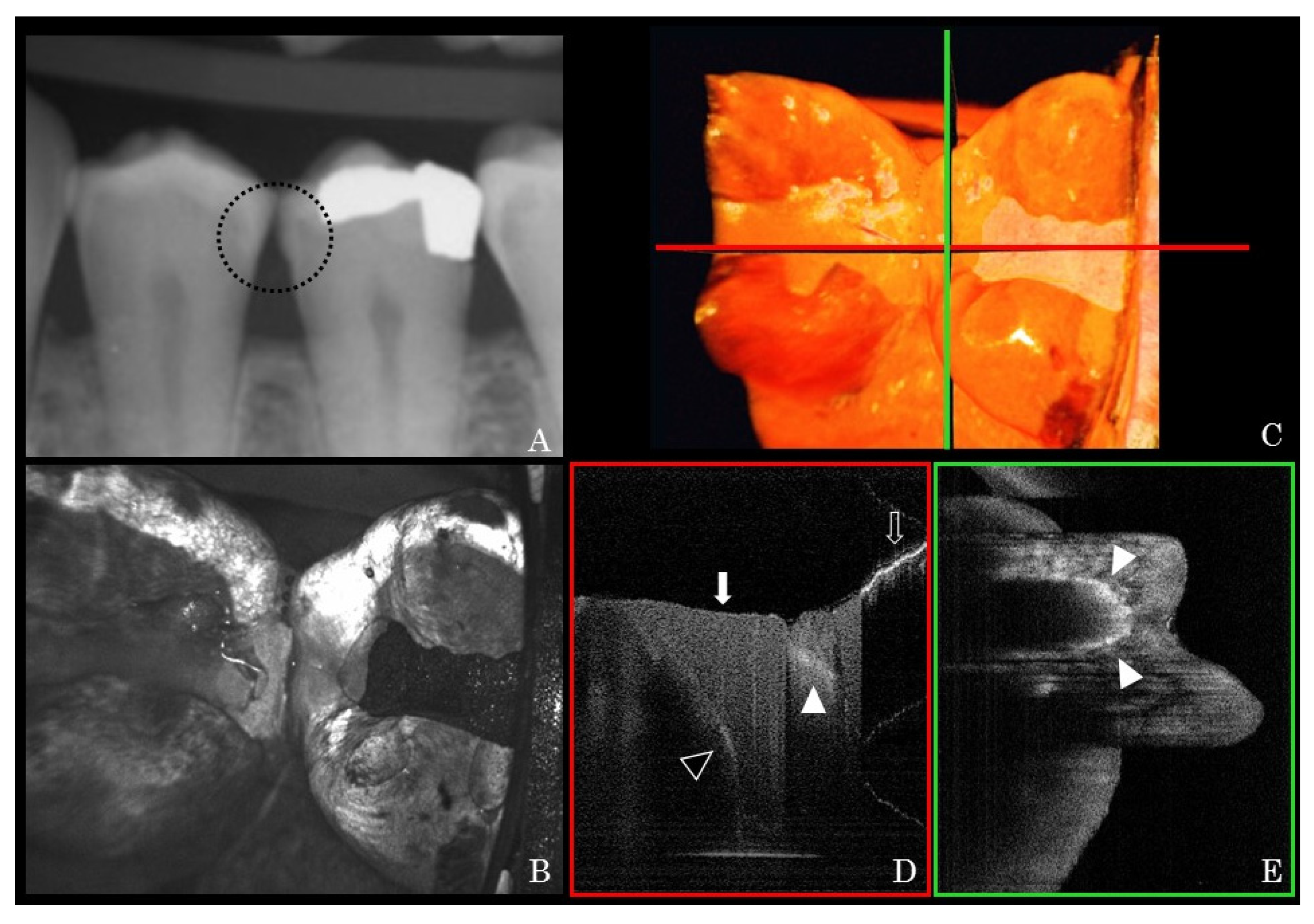 Sensors 21 07940 g004