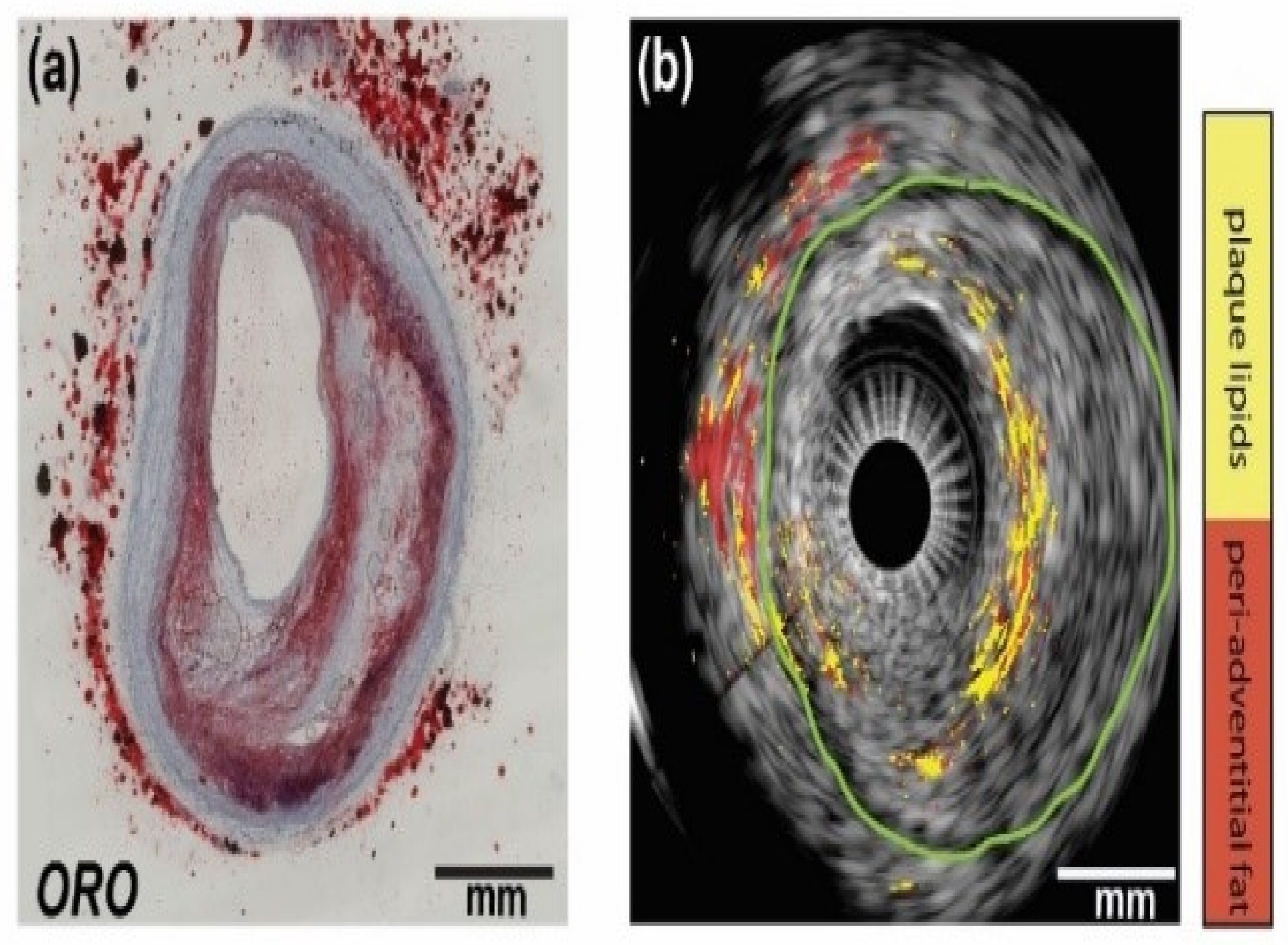 Sensors 21 07947 g007