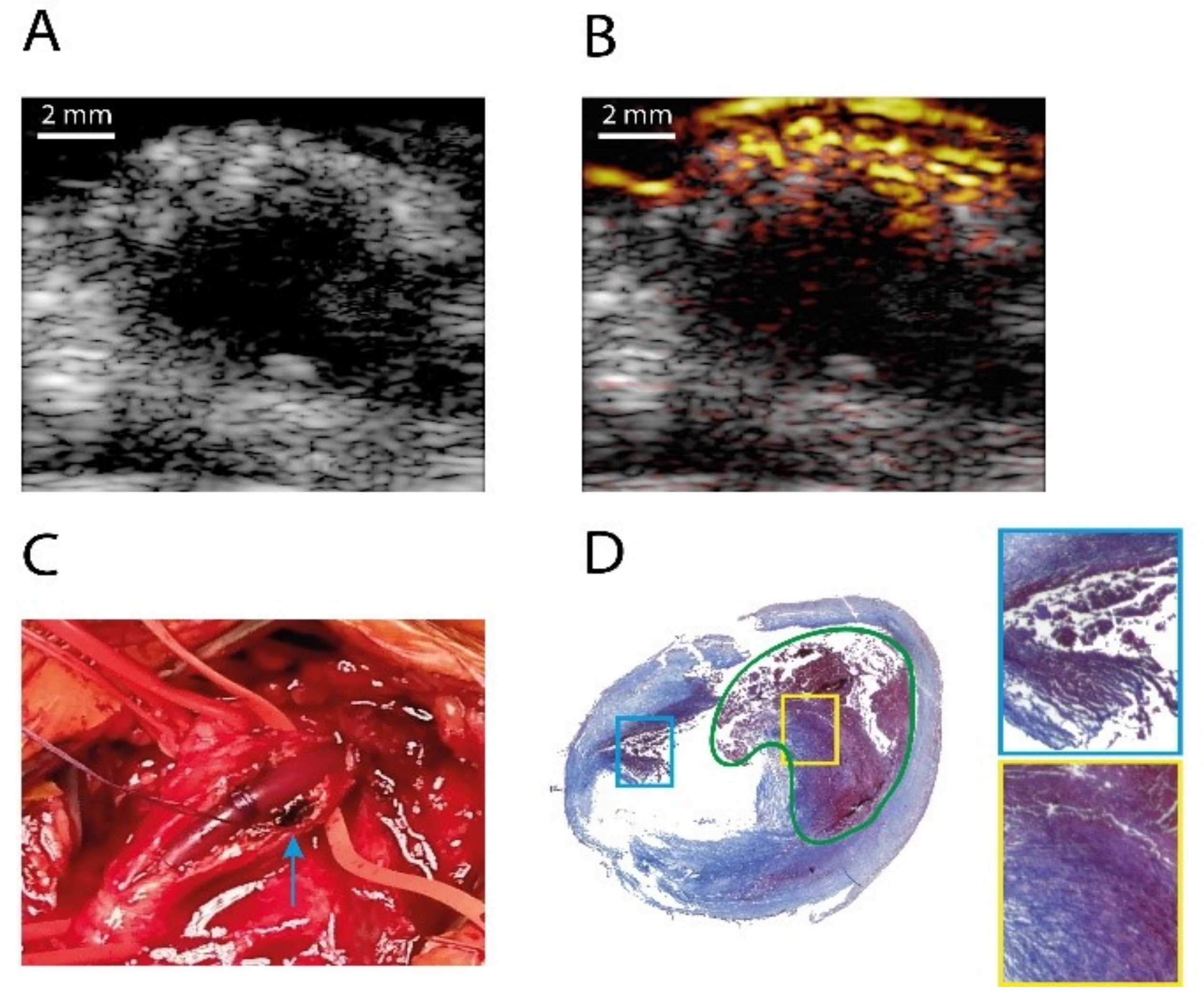 Sensors 21 07947 g009