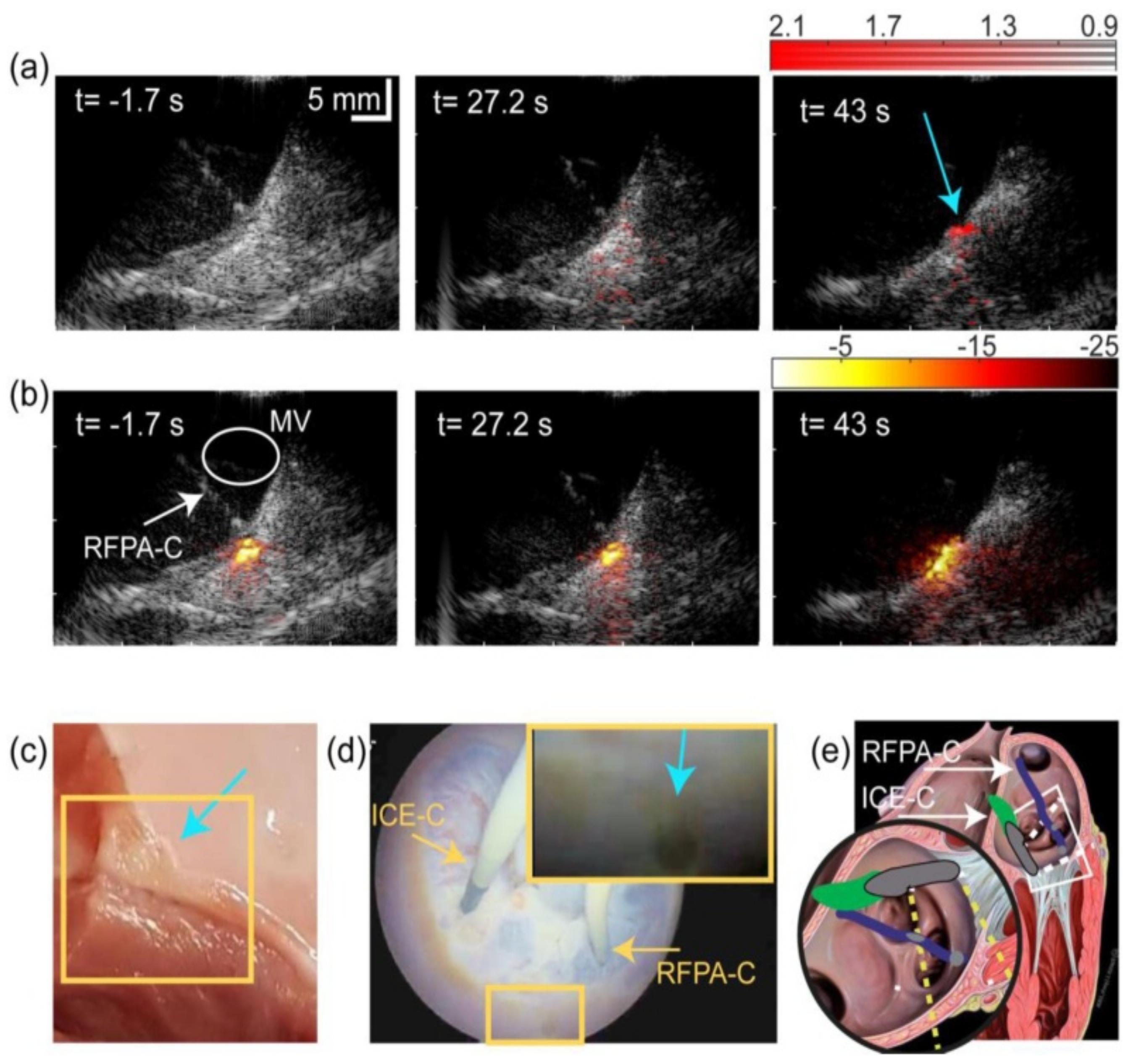Sensors 21 07947 g012