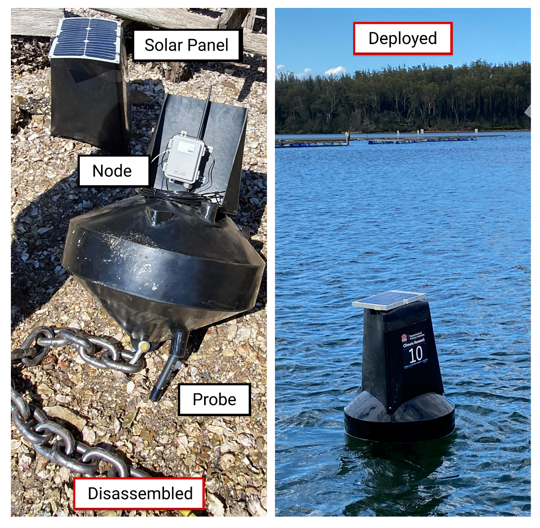 NSW DPI Buoy with ICT International S-Node