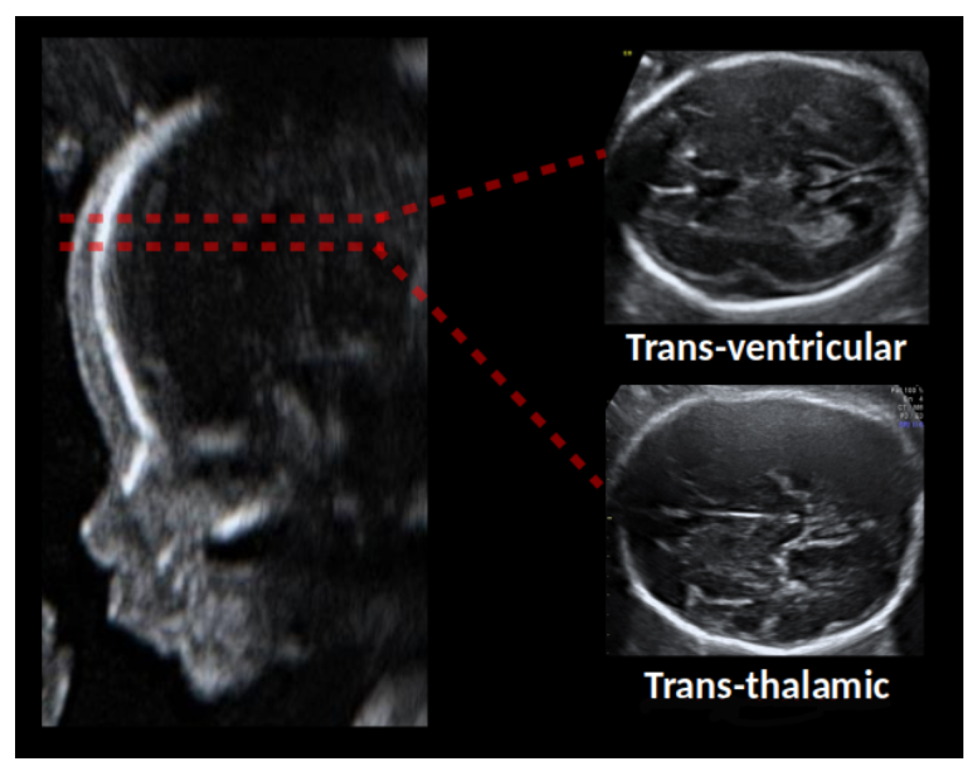 Sensors 21 07975 g001