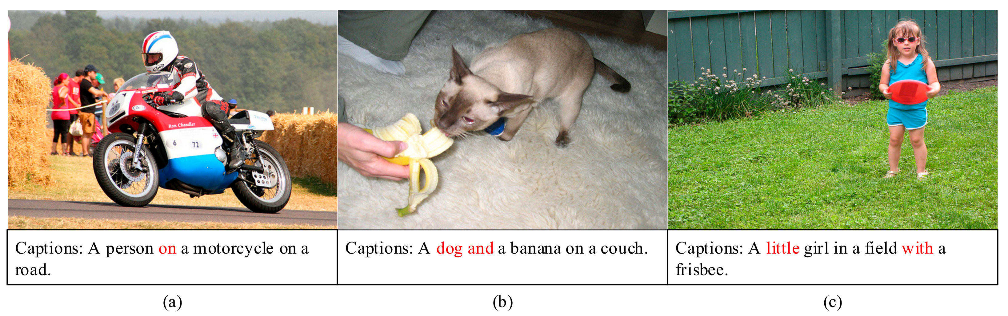 Sensors 21 07982 g001