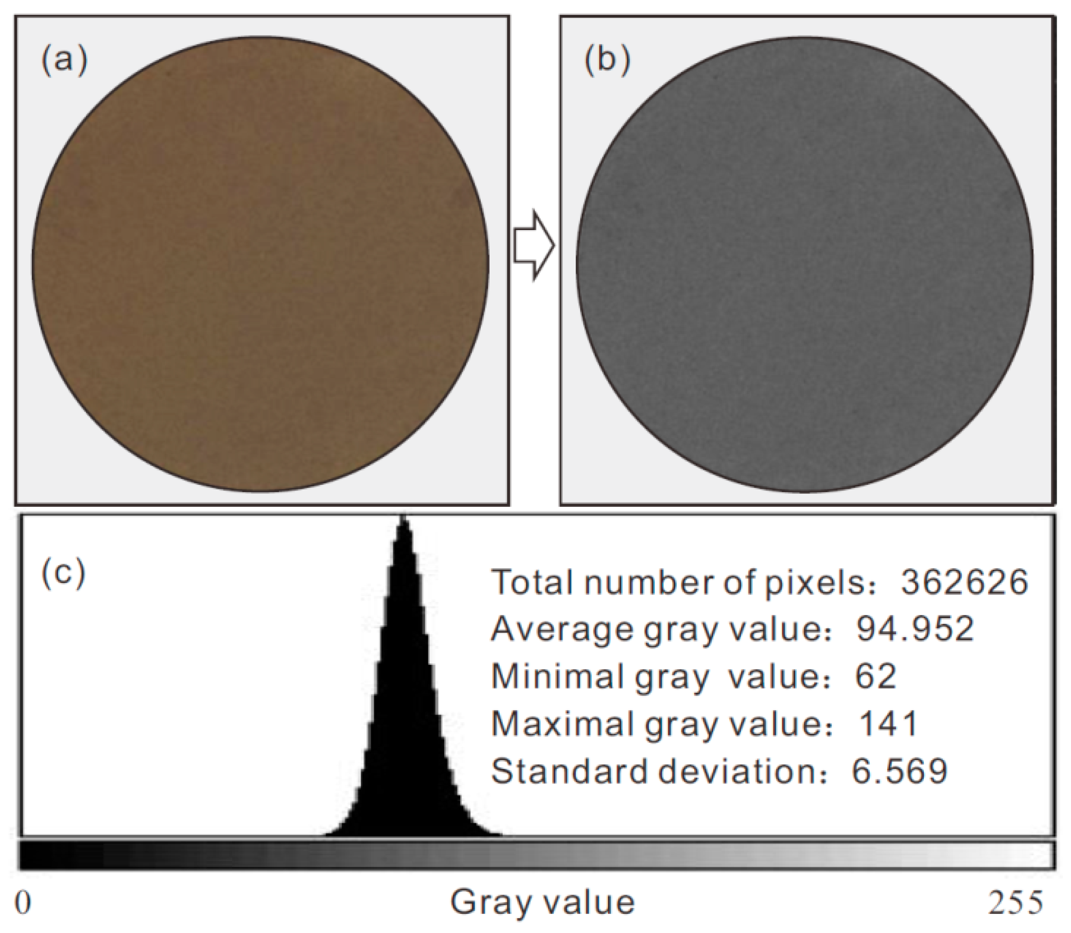 Sensors 21 07983 g005