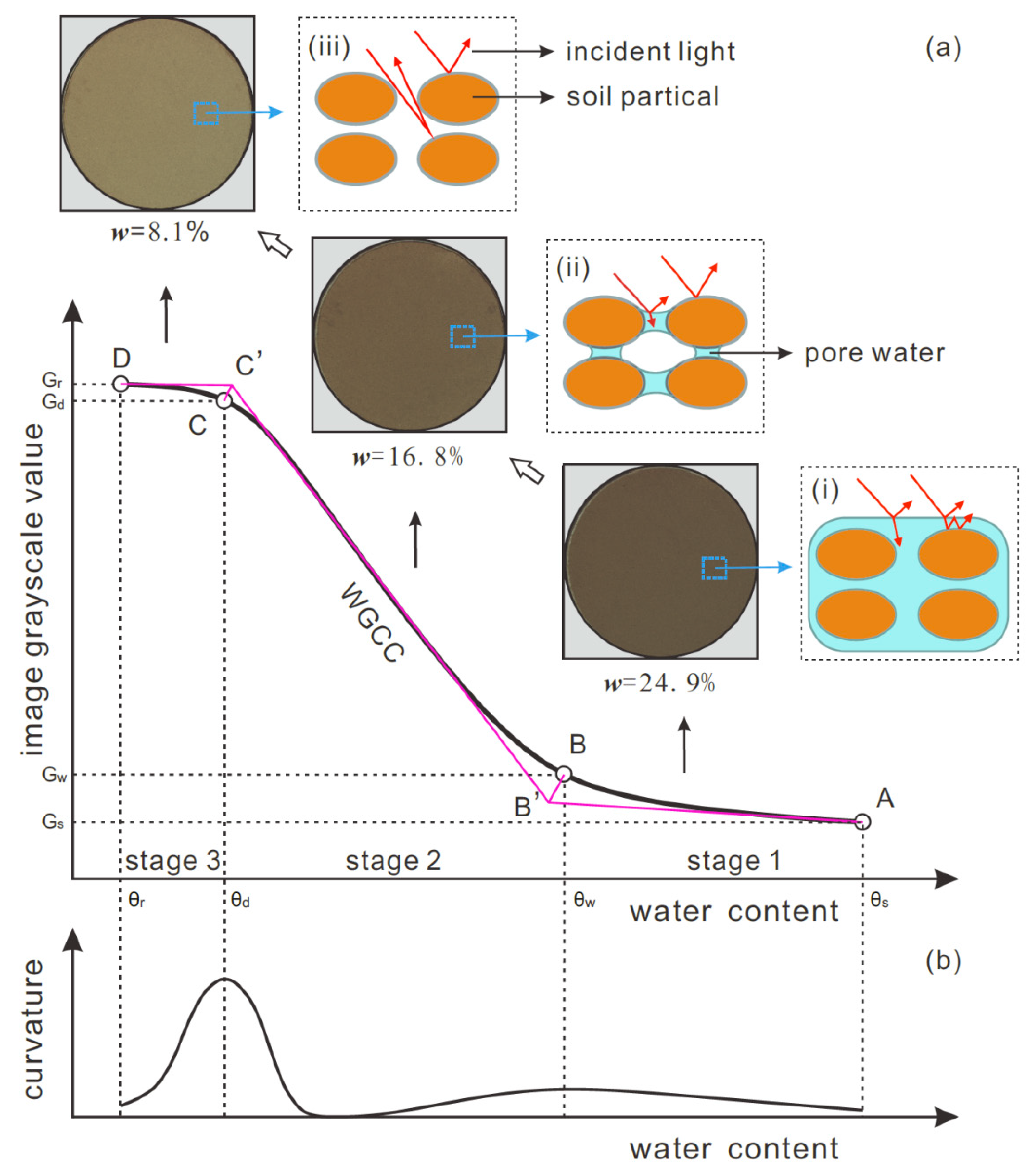 Sensors 21 07983 g006
