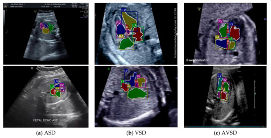 Fetology: Diagnosis and Management of the Fetal Patient
