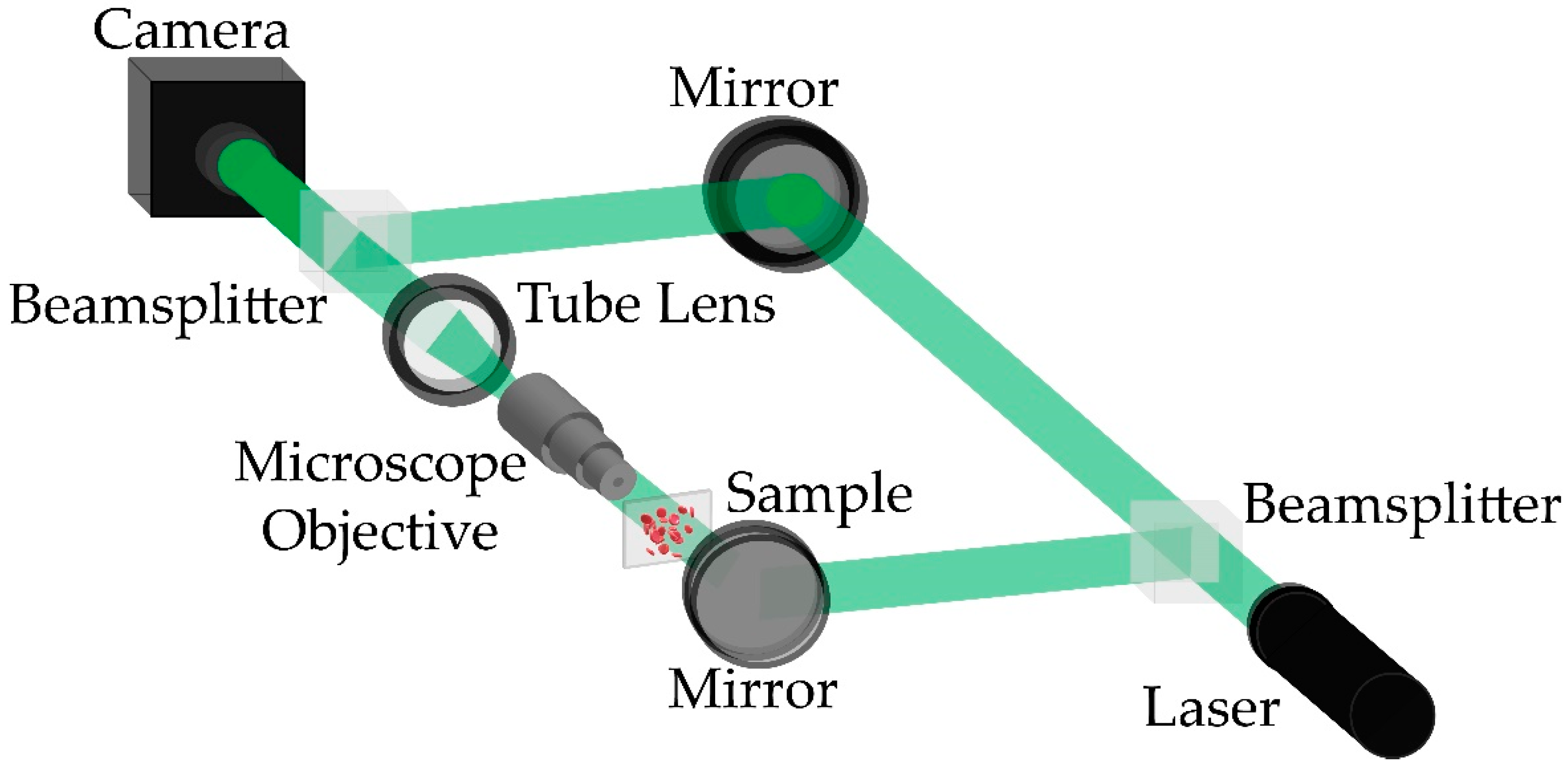 Sensors 21 08021 g001 550