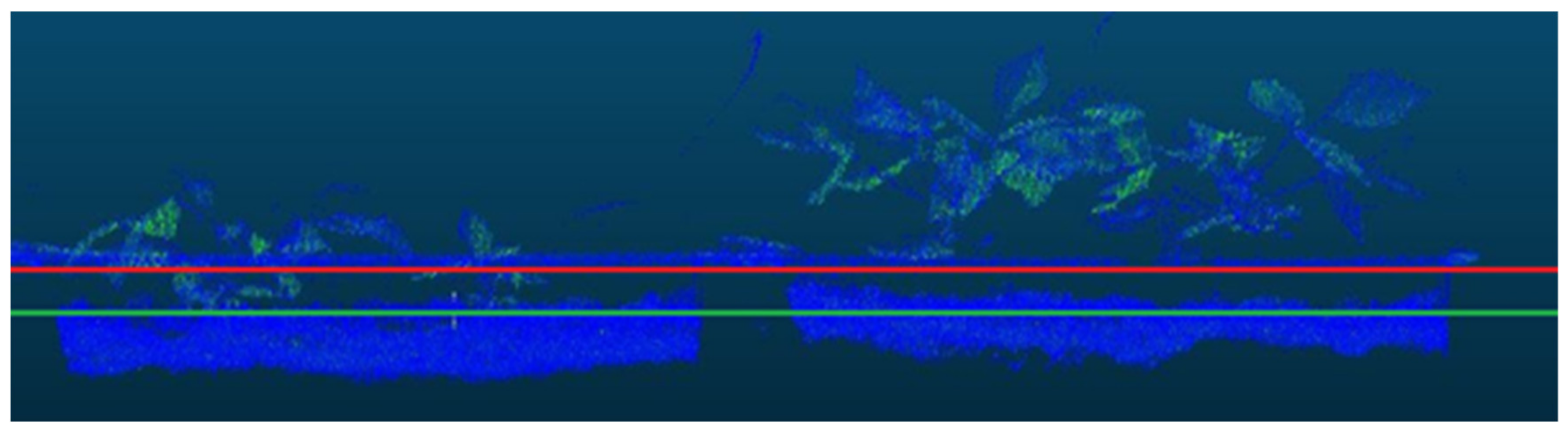 Sensors 21 08022 g004 Sensors 21 08022 g004
