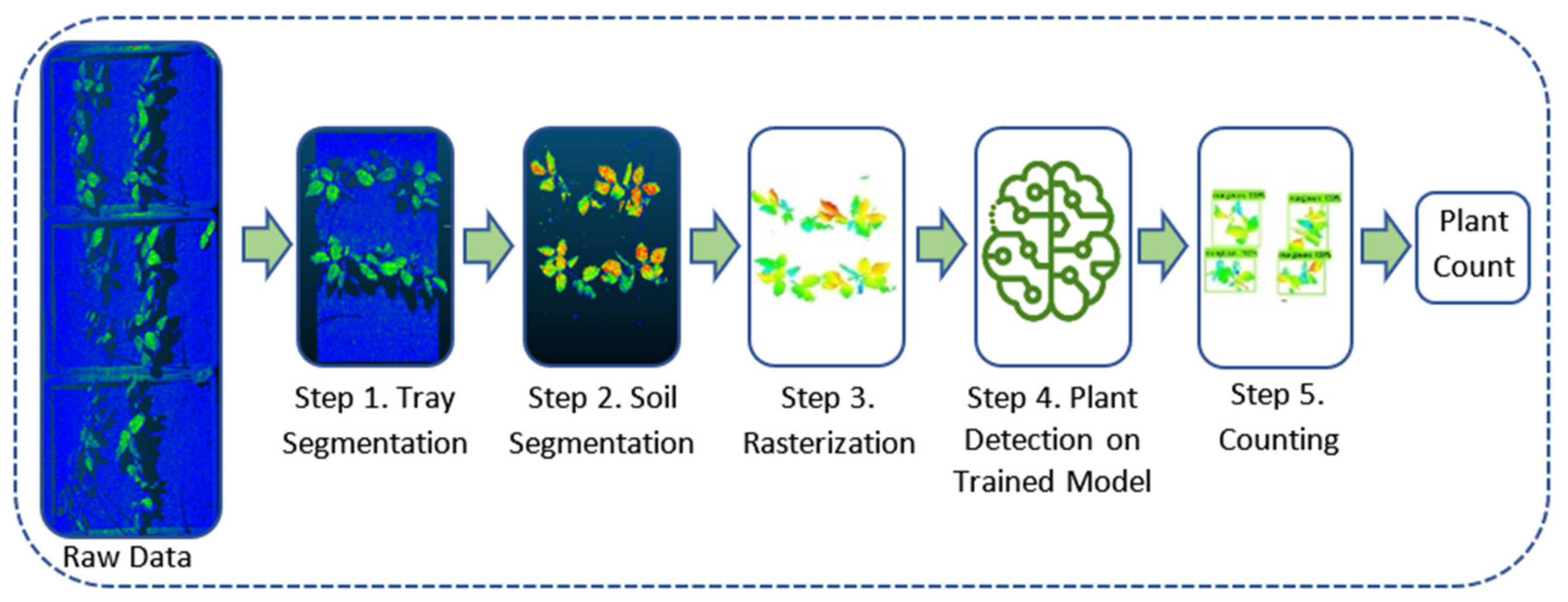 Machine Learning-Based Plant Detection Algorithms to Automate Counting ...