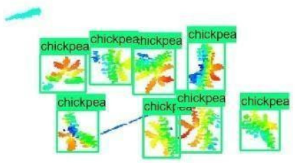 Sensors 21 08022 i019 Sensors 21 08022 i019