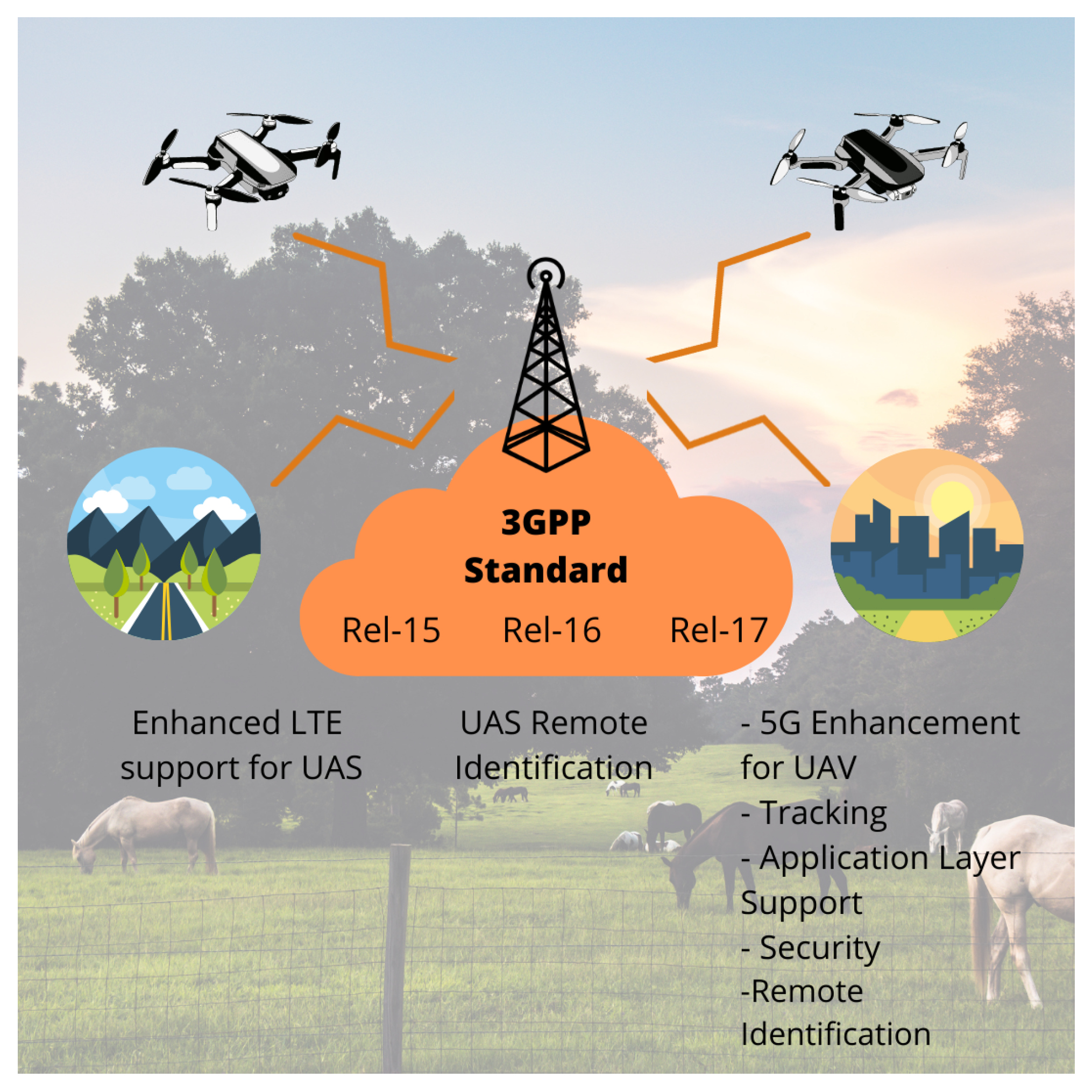 Sensors 21 08037 g006
