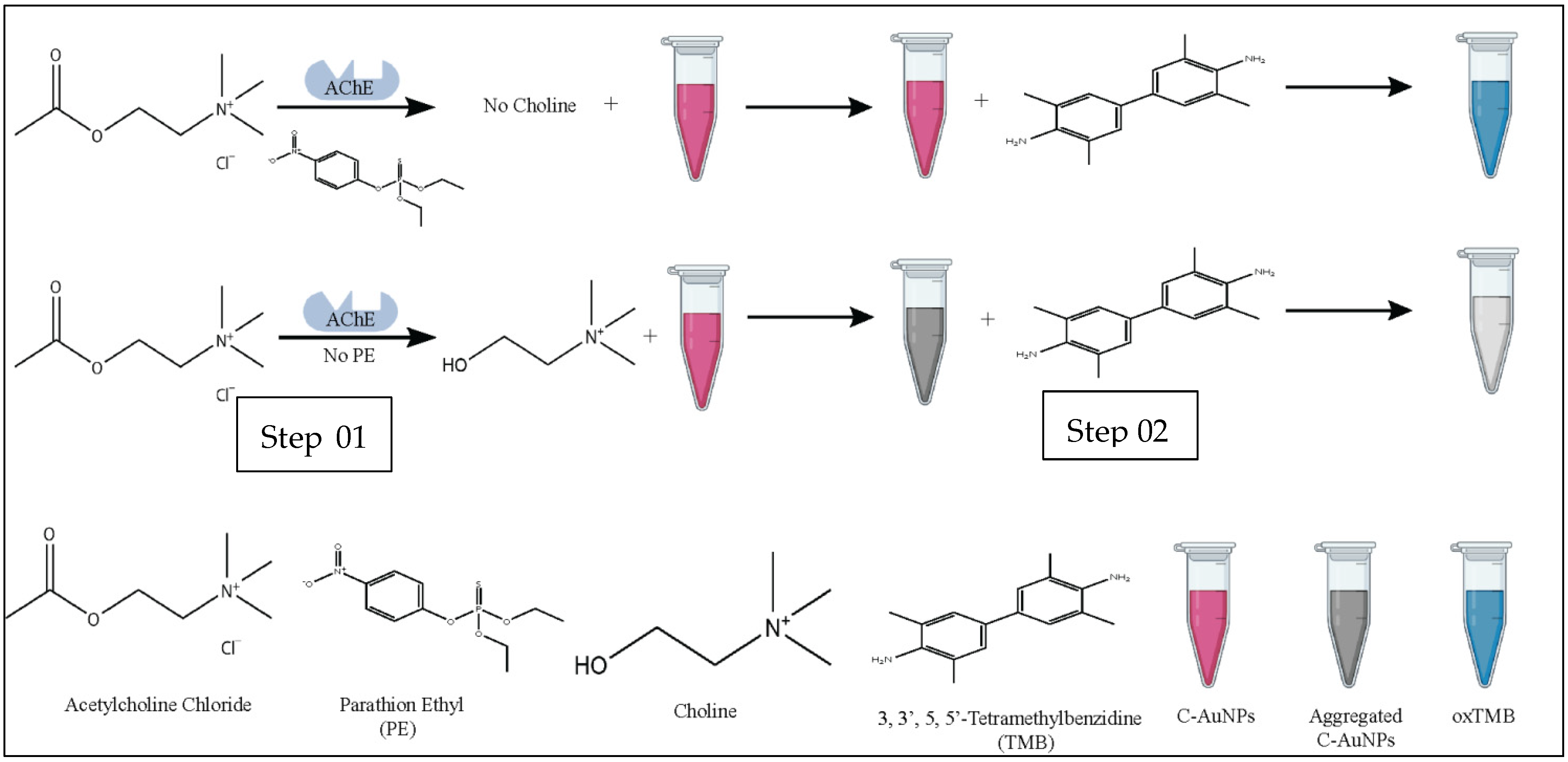 Sensors 21 08050 g001 550