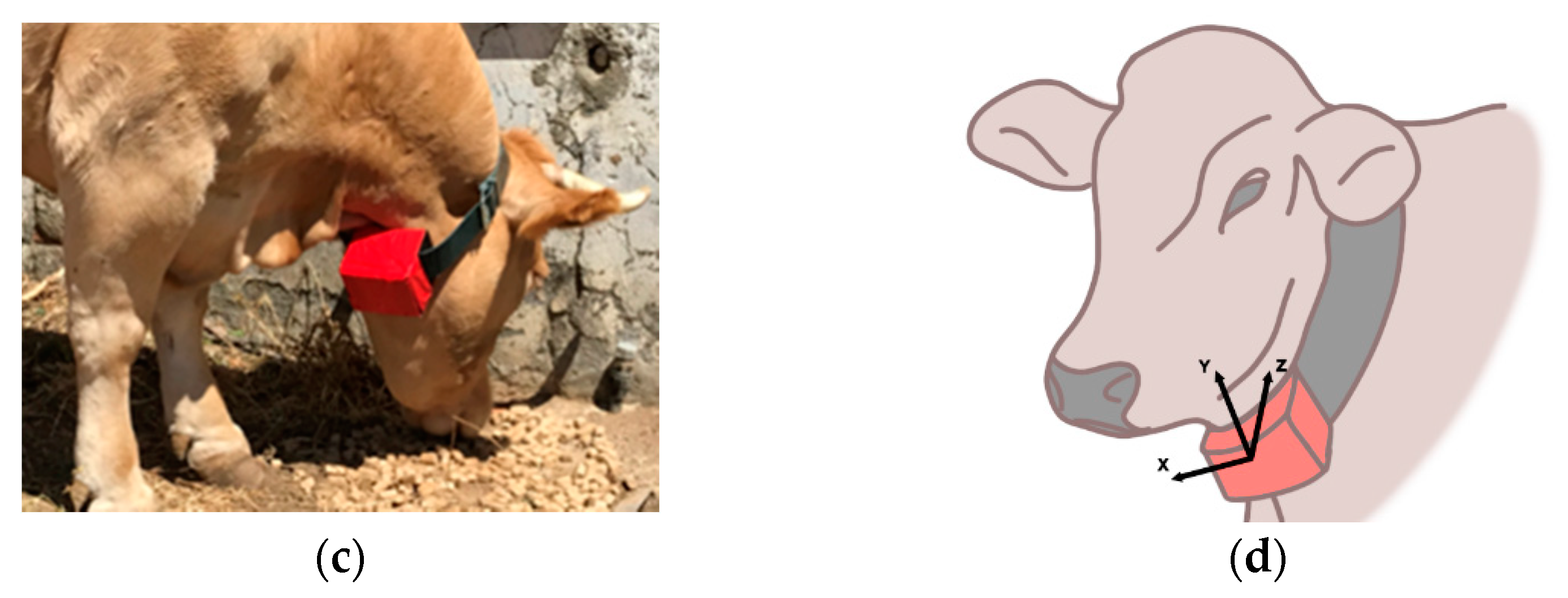 Sensors 21 08060 g002b 550