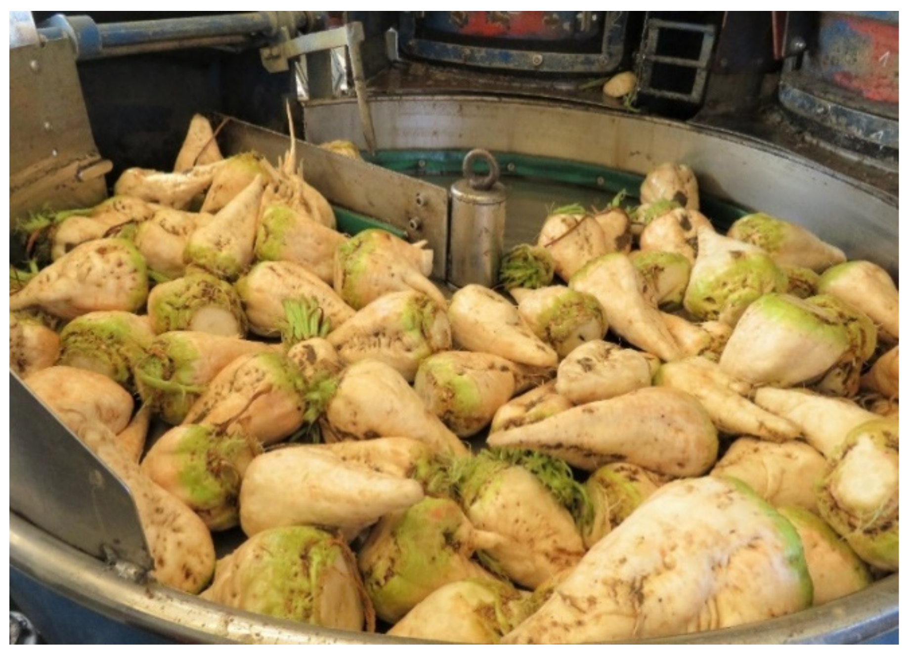 Sensors 21 08068 g002 550