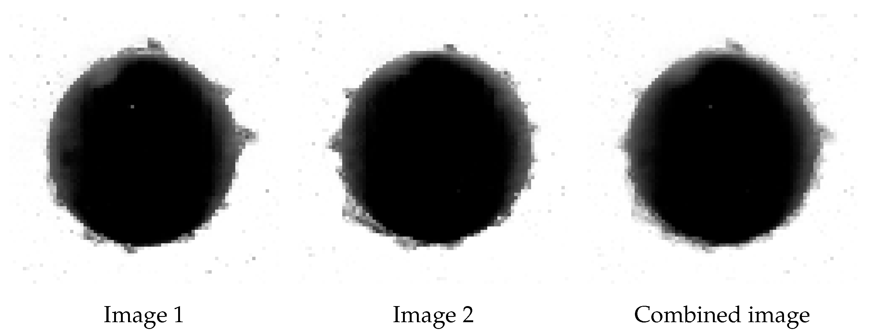 Sensors 21 08077 g005 550