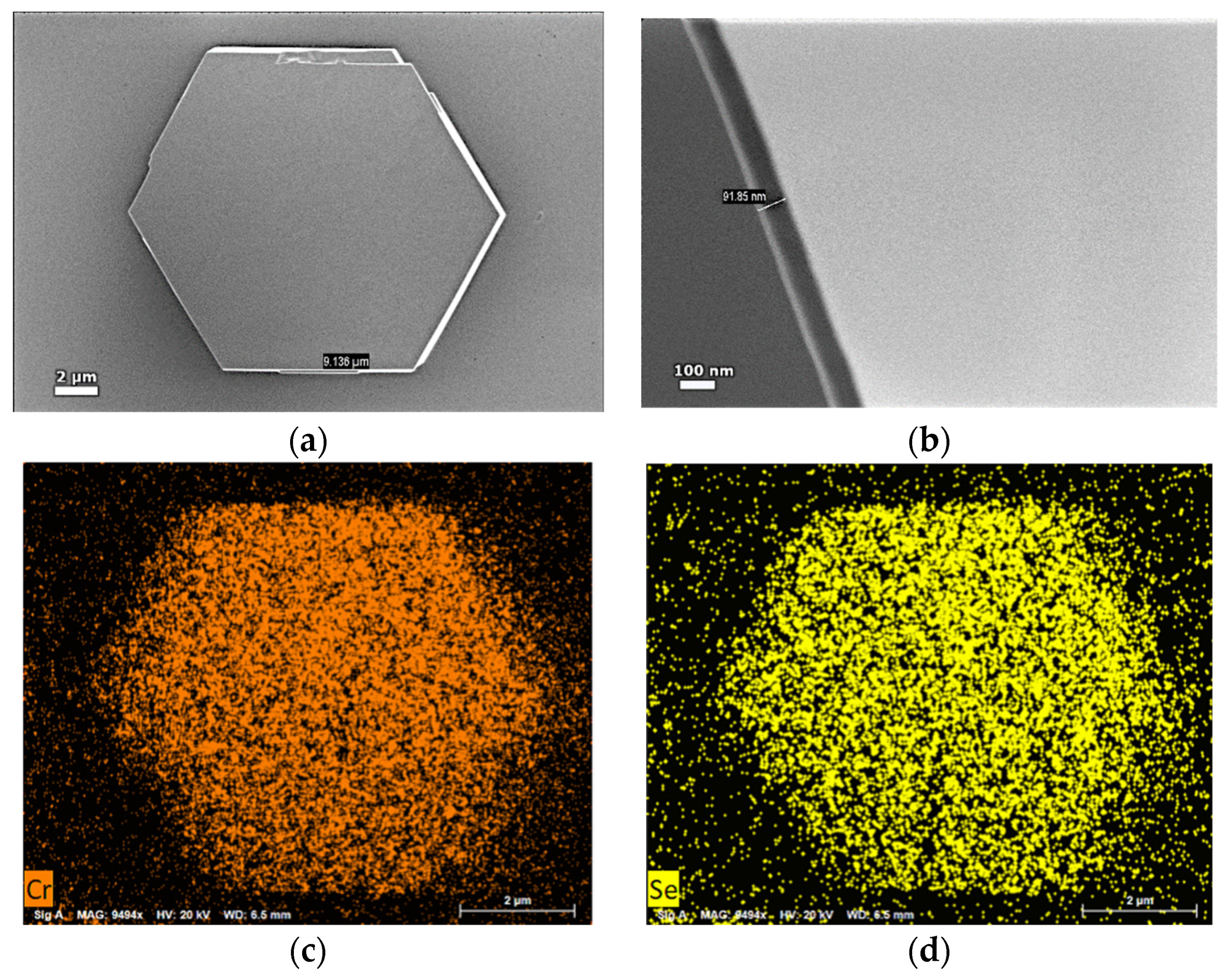 Sensors 21 08084 g001