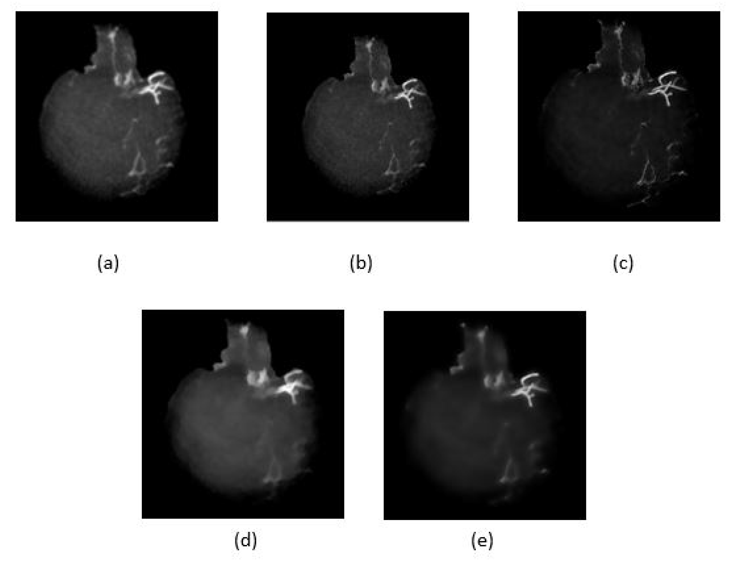 Sensors 21 08099 g007
