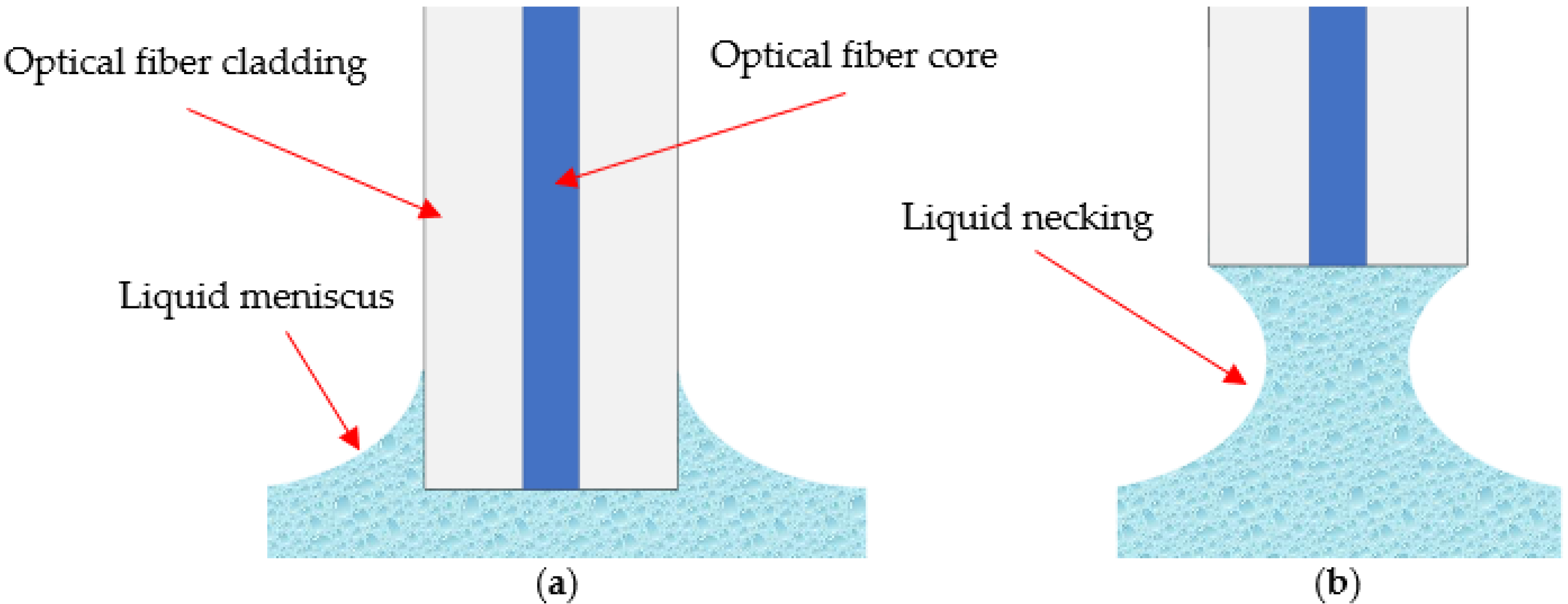 Sensors 21 08130 g003