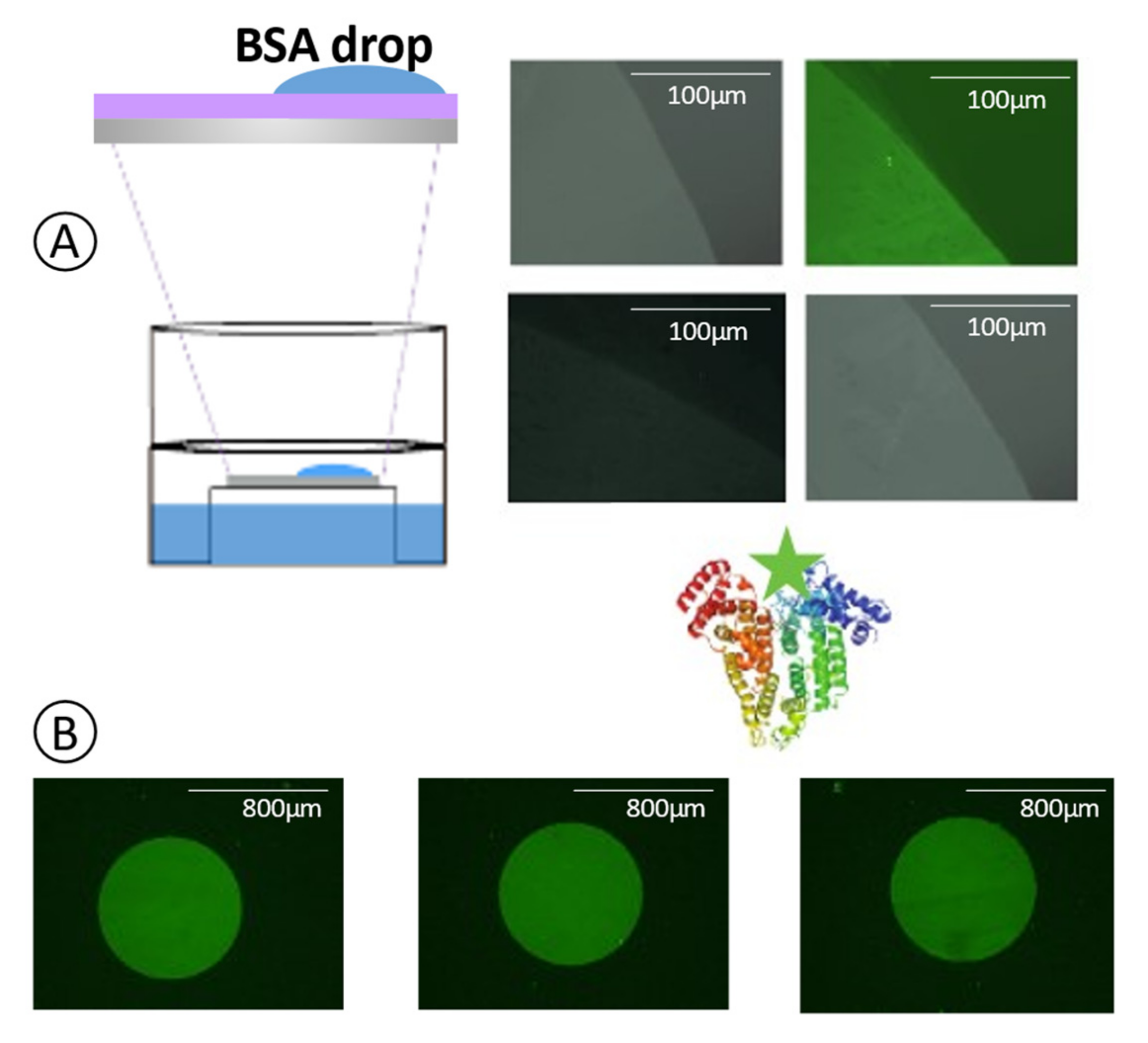 Sensors 21 08156 g004 550
